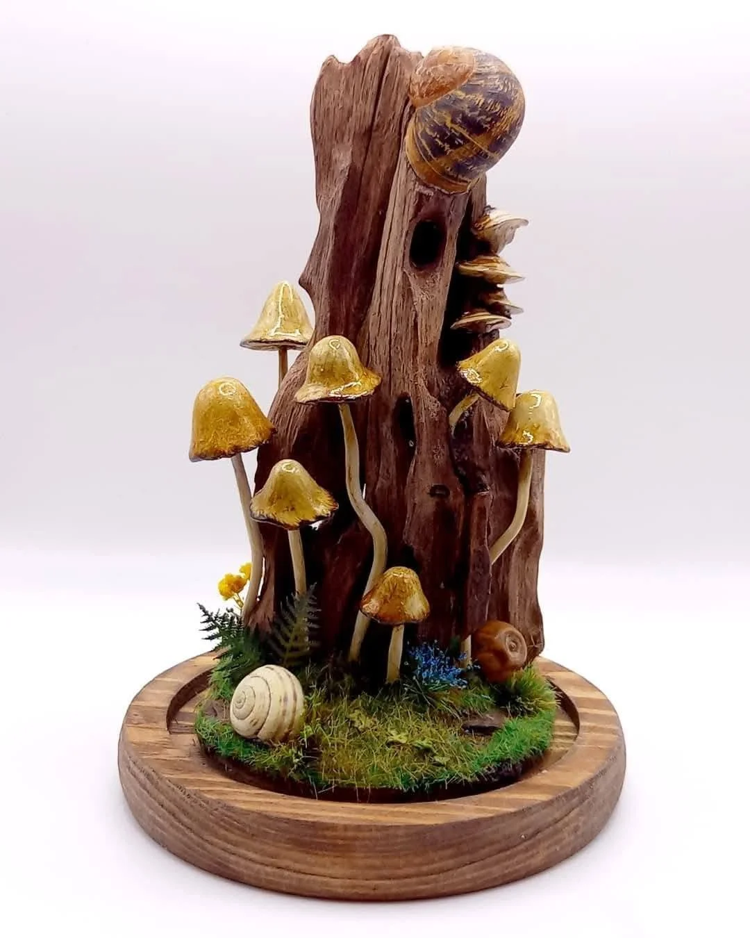 Mushroom cloche