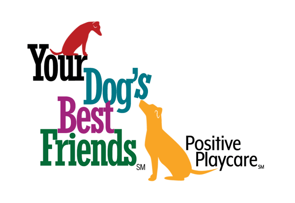 Your Dog&#39;s Best Friends