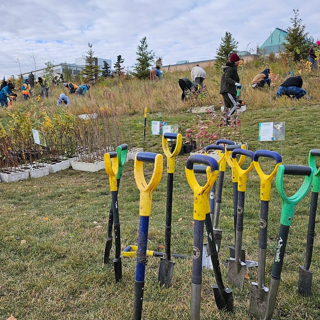 Trees for Life &amp; The City of Edmonton