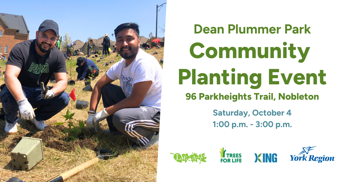 Community Tree Planting in Dean Plummer Park (Nobleton)