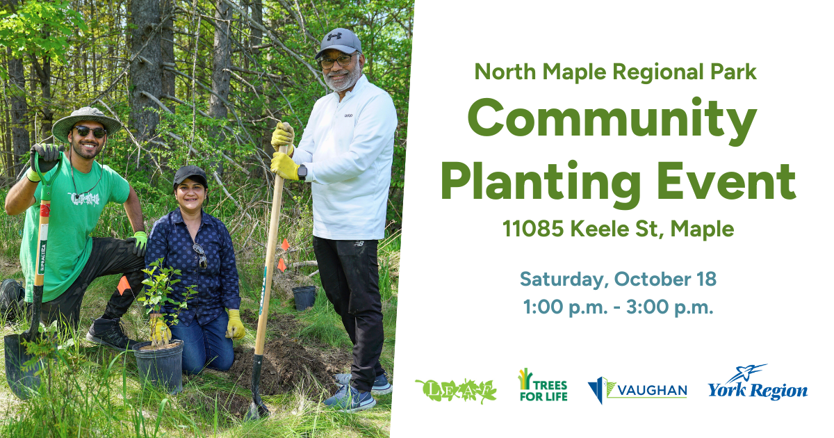Community Tree Planting in North Maple Regional Park (Vaughan)