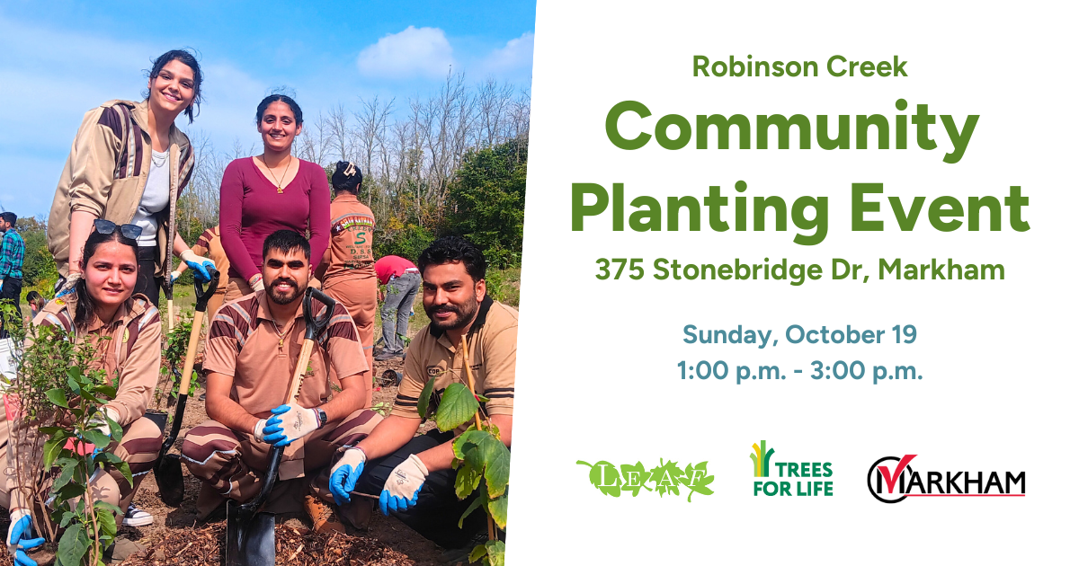 Community Tree Planting in Robinson Creek (Markham)