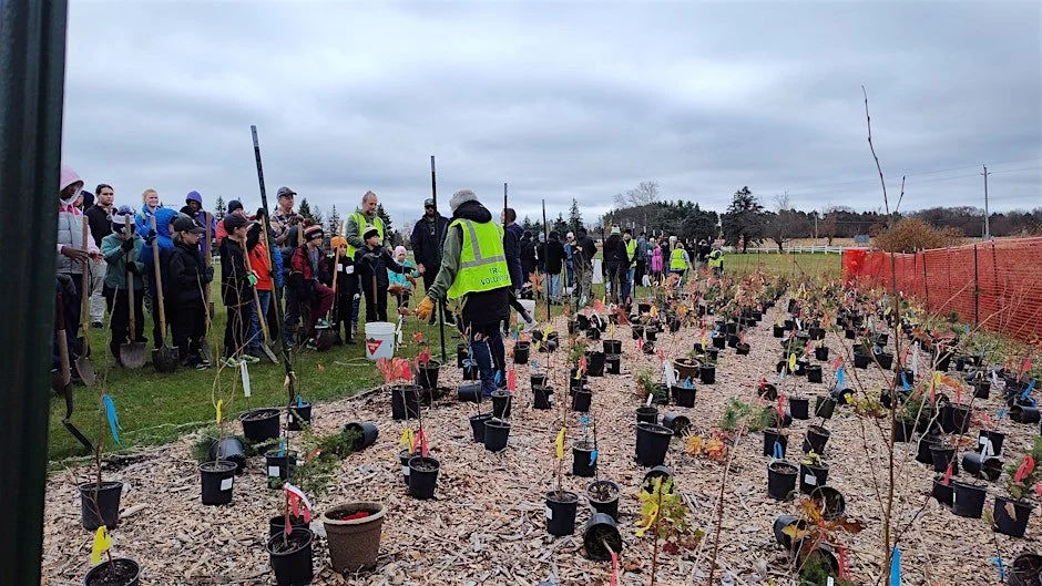 Little Forests Durham-Mini Forest Planting