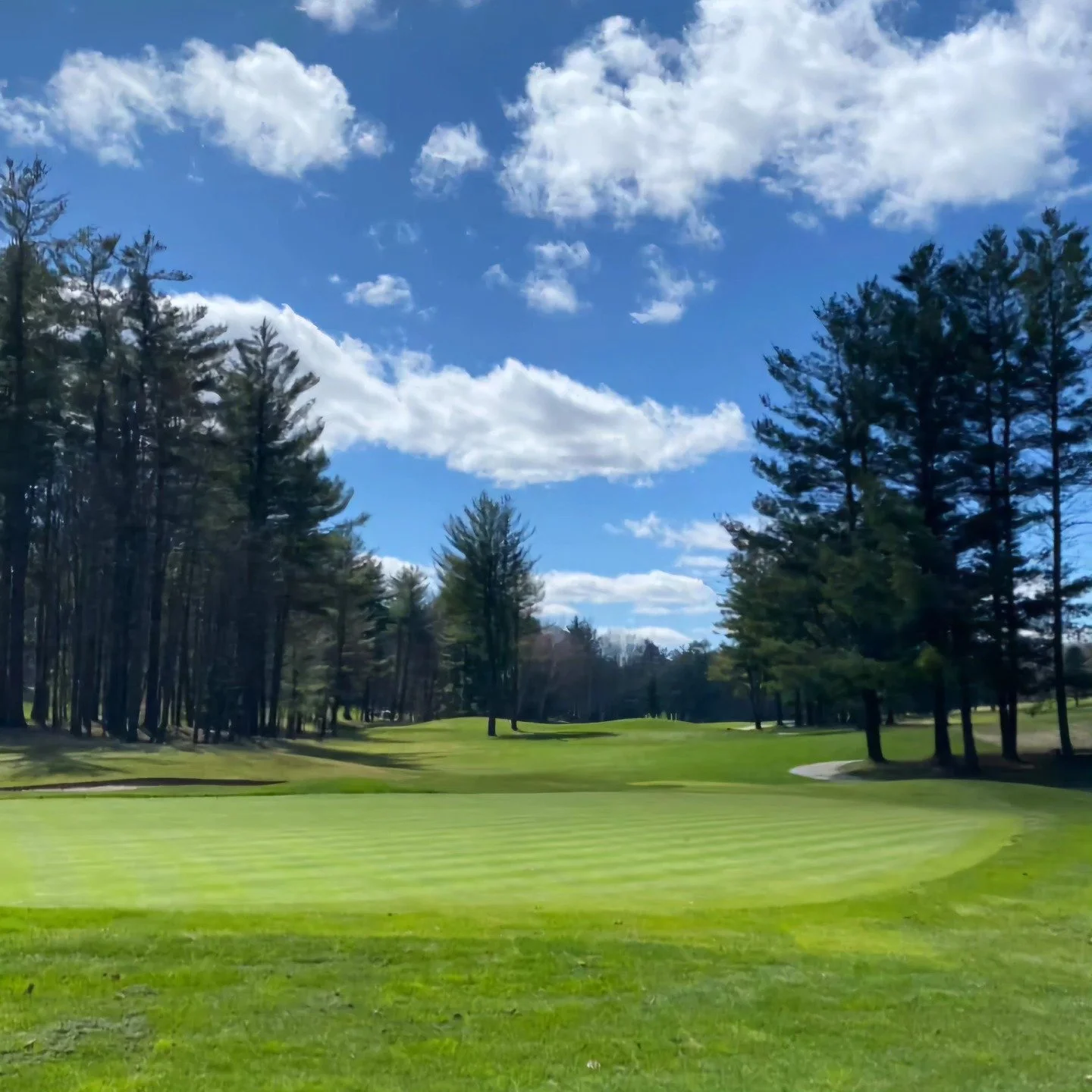 Individual Registrations