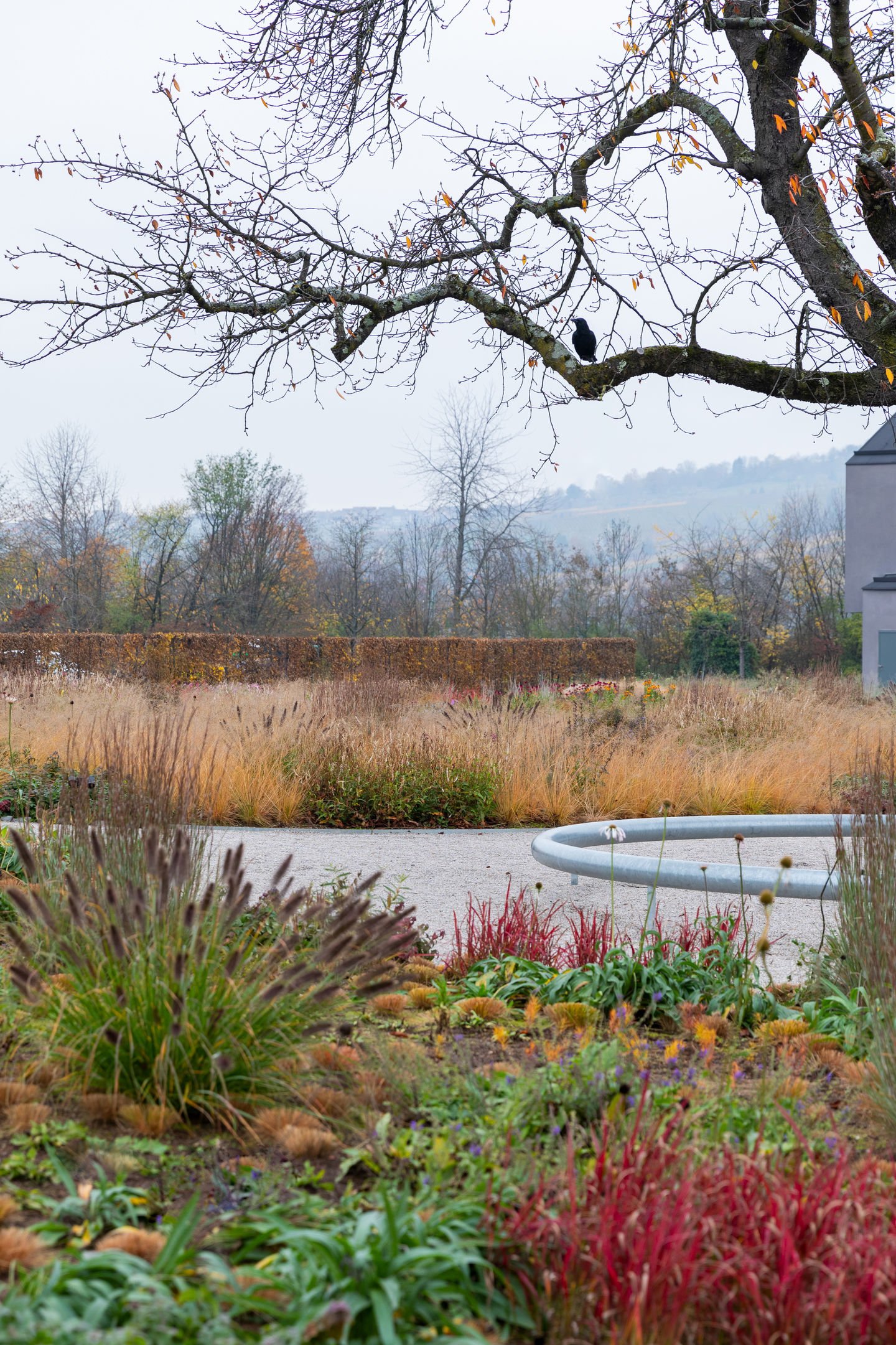 4417395_Piet_Oudolf_Garten_November_11062020_215_v_fullbleed_1440x.jpeg
