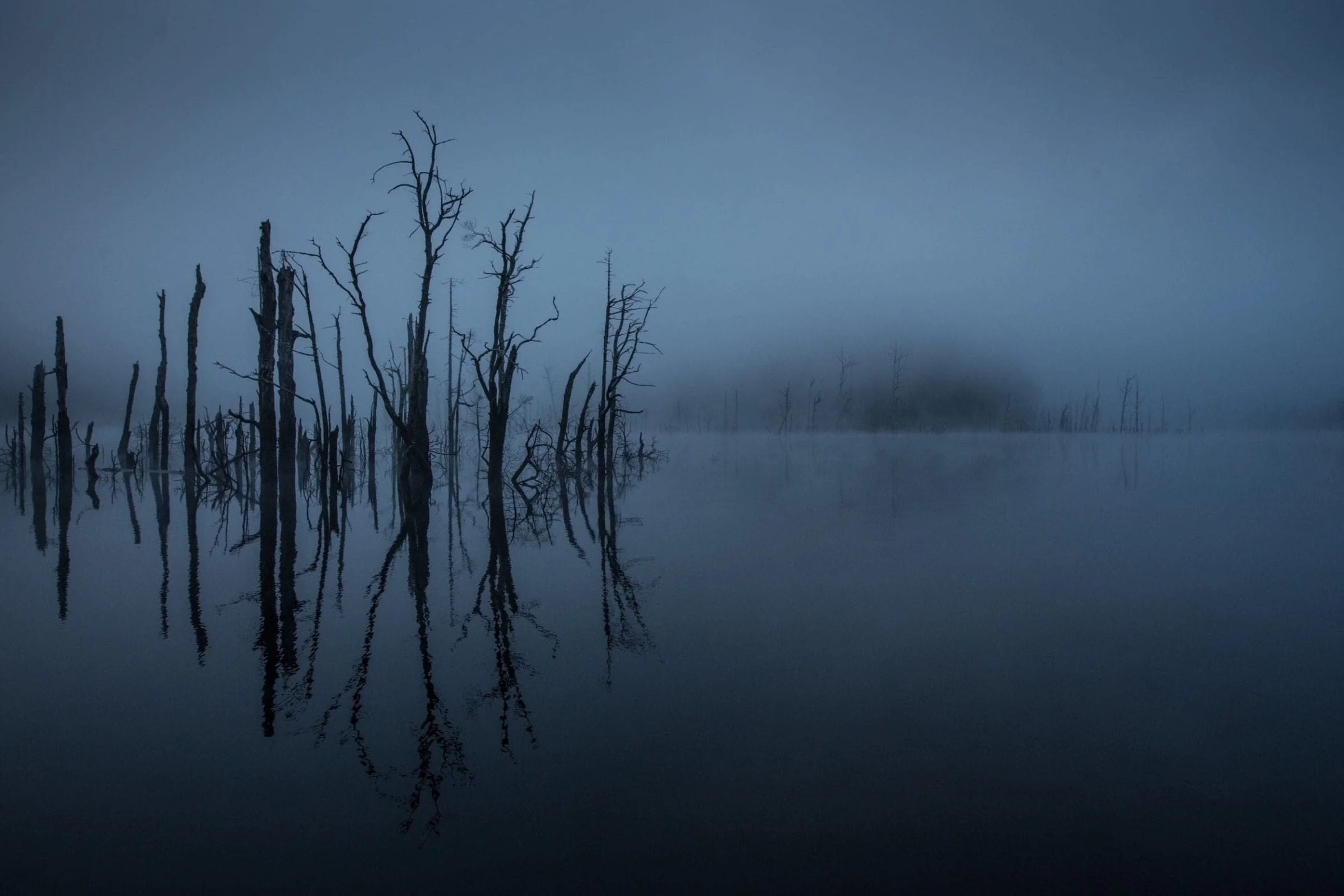 Hydrowood Launch Event: Reclaimed Tasmanian Timber