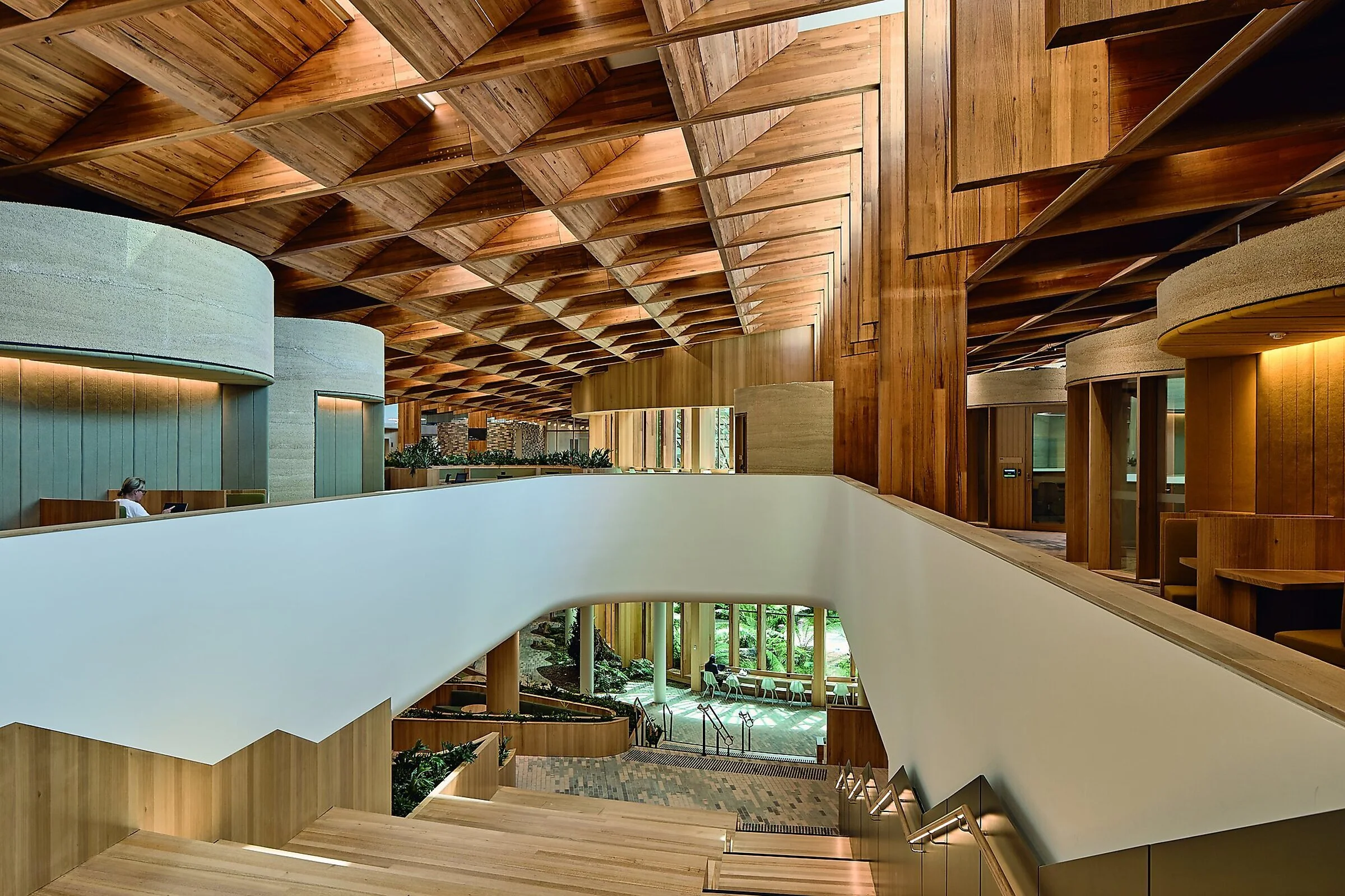 The Forest by Woods Bagot. Photography: Peter Bennetts.
