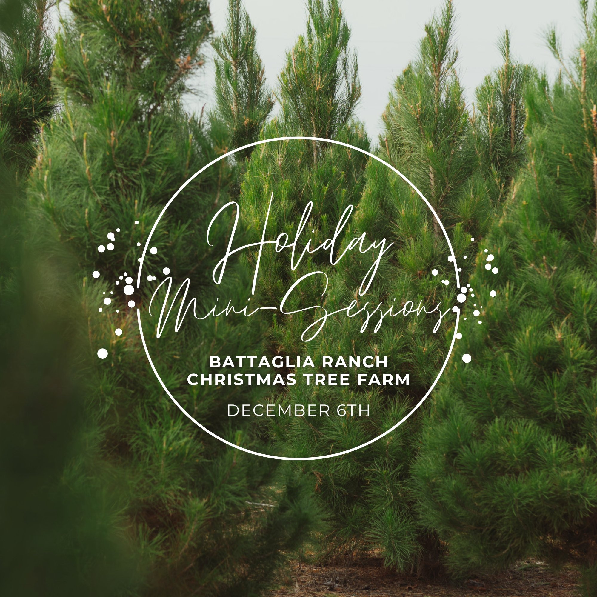 HolidaySessions.jpg