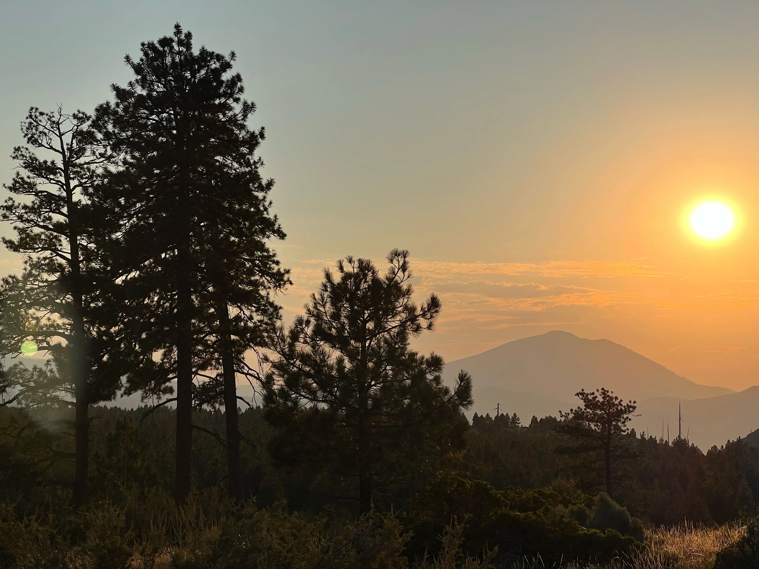 Rewind: NorCal, or Most of It