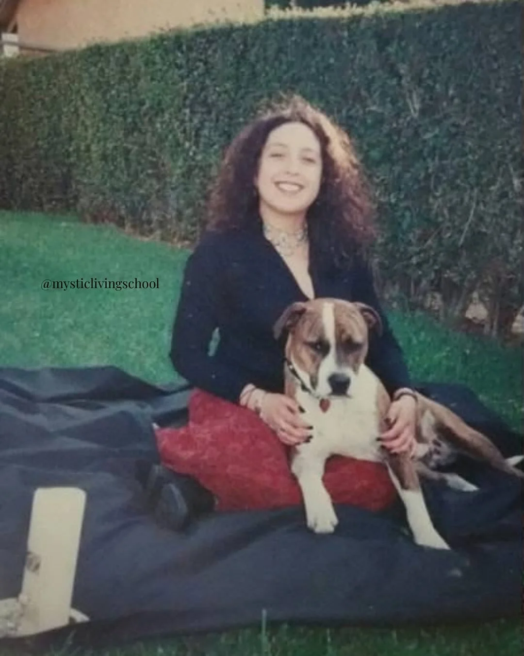 Today I celebrate 17 years of following a dream. 

In 2008, I was on a journey of deep inner healing. I was also pursuing a very part-time practice with one client. I had a vision to bridge my work as a clinical social worker with holistic healing. I