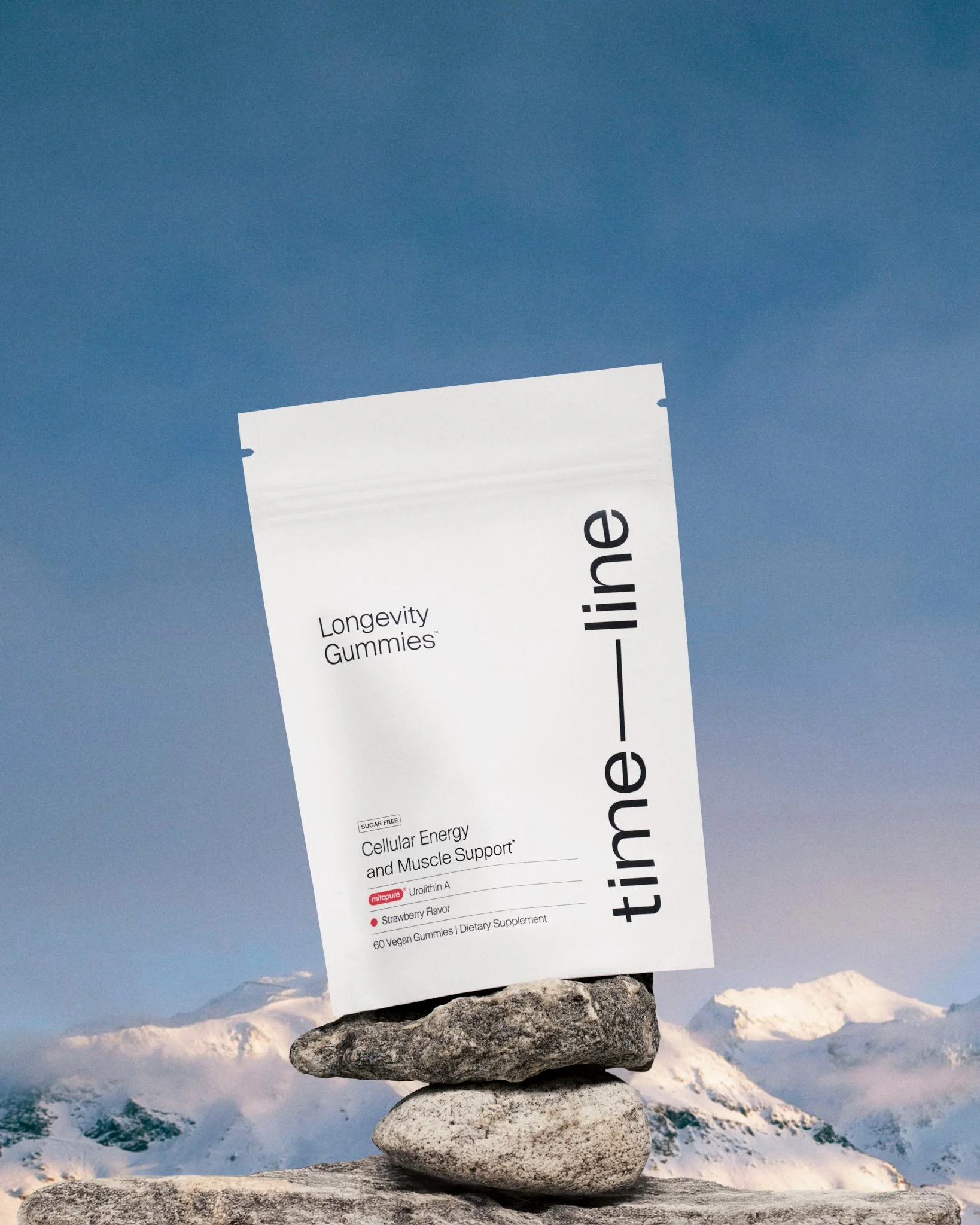 Timeline-Mountain-UPDATED-Web.jpg