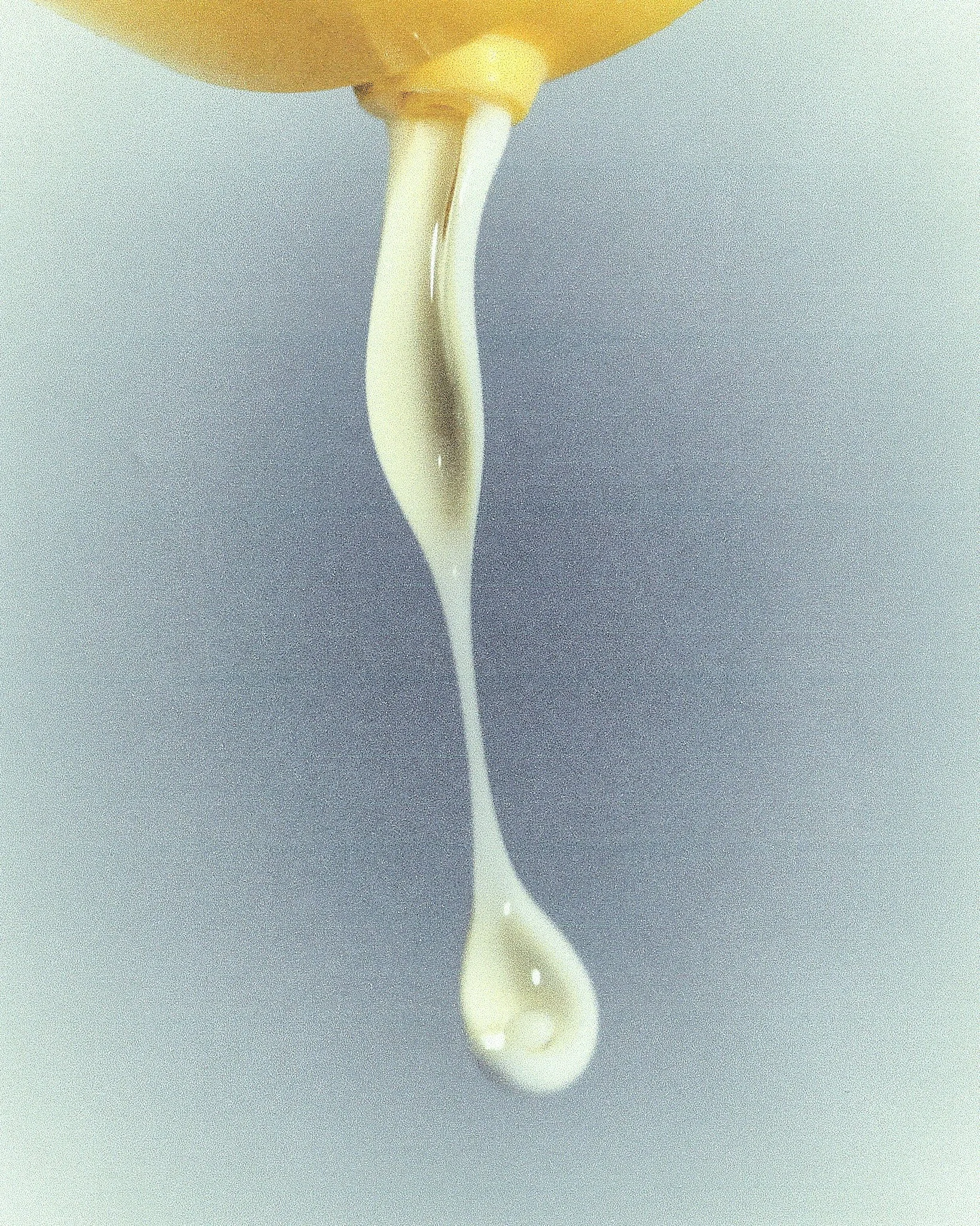 cream-scan-1.jpg