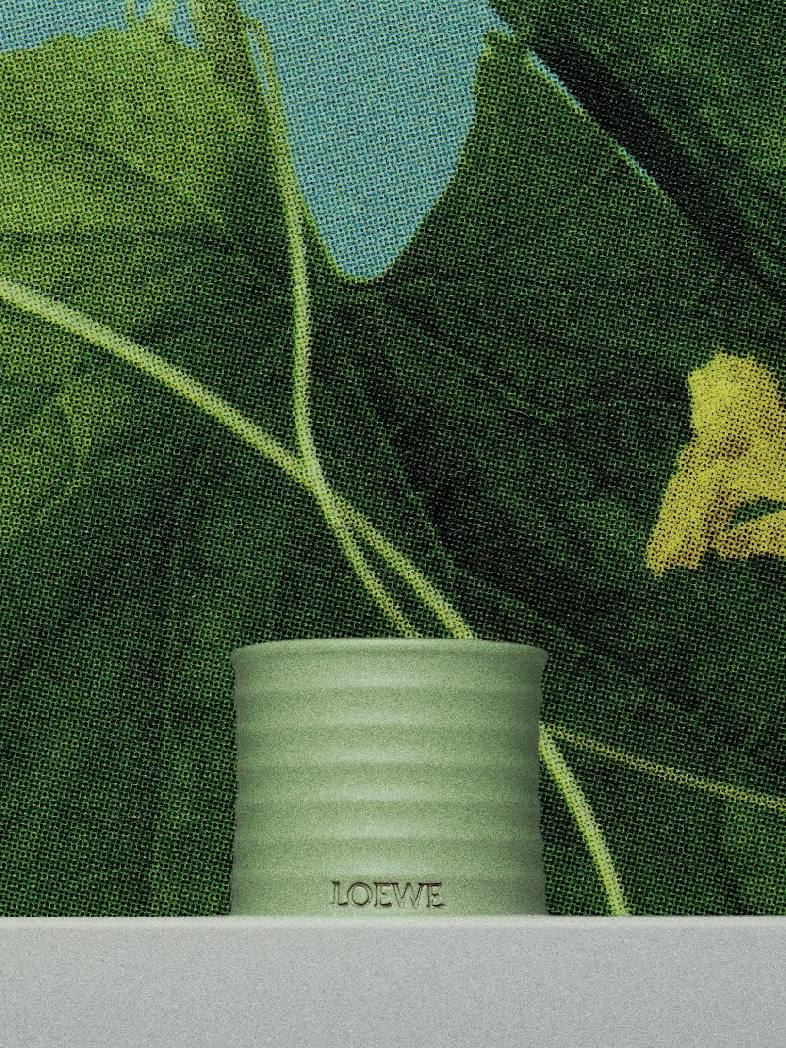 LOEWE CUCUMBER 6.jpg