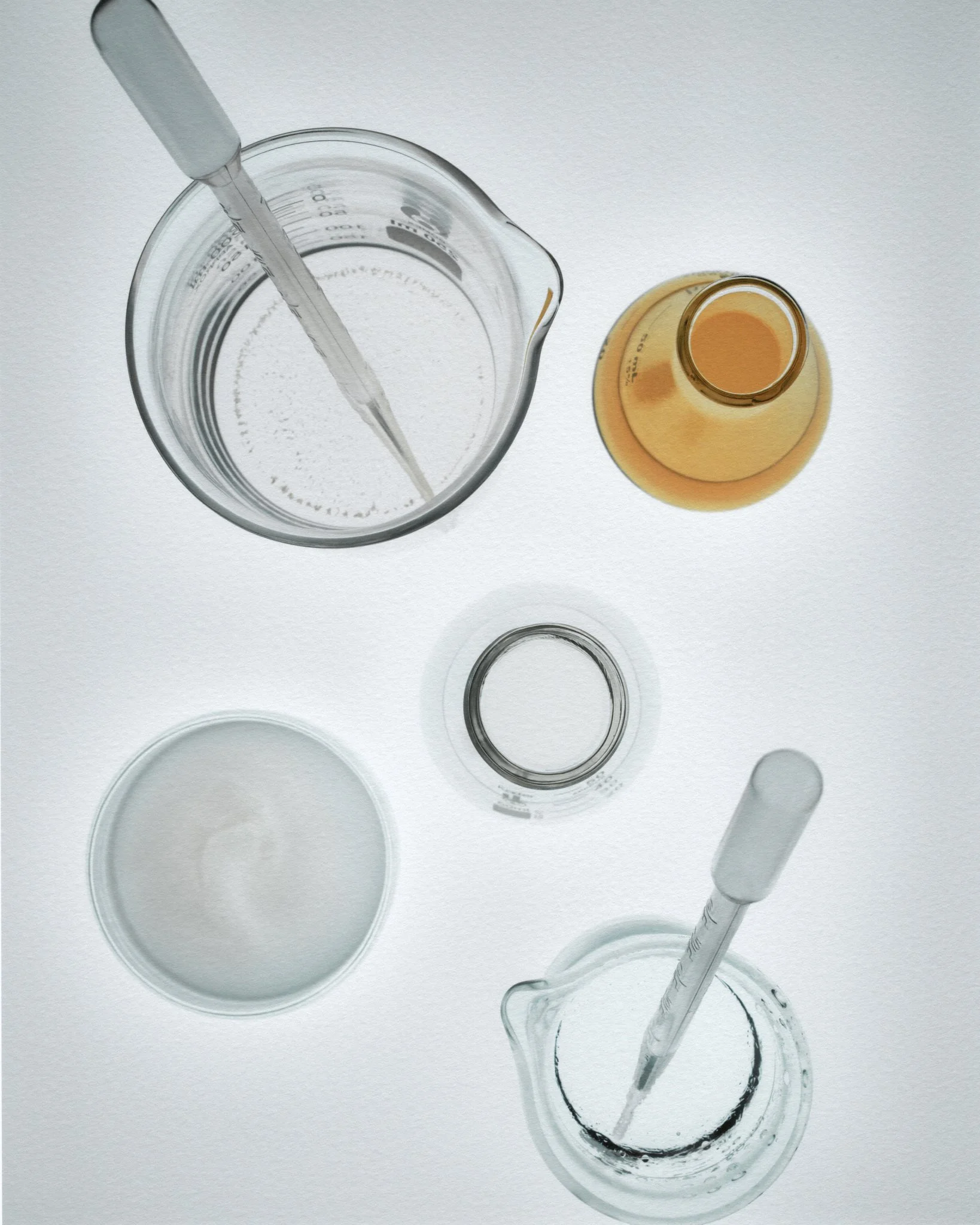 LP-beakers-scan-website.jpg