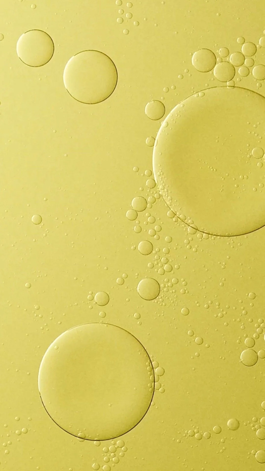 WEBSITE STILLS-lm oil.jpg