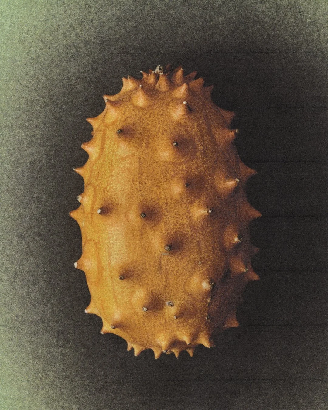 Horned-Melon-2-scan.jpg