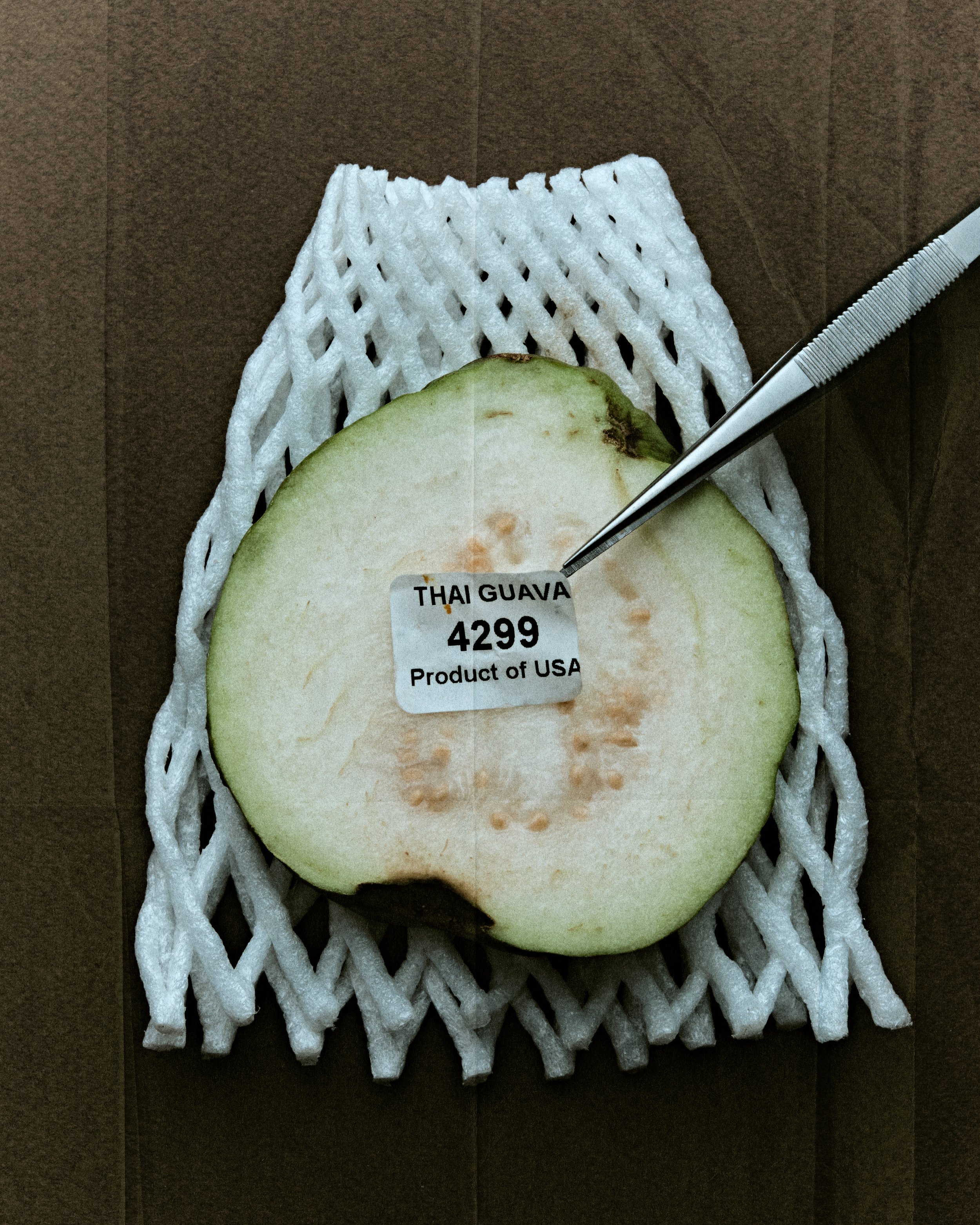 guava-9.jpg