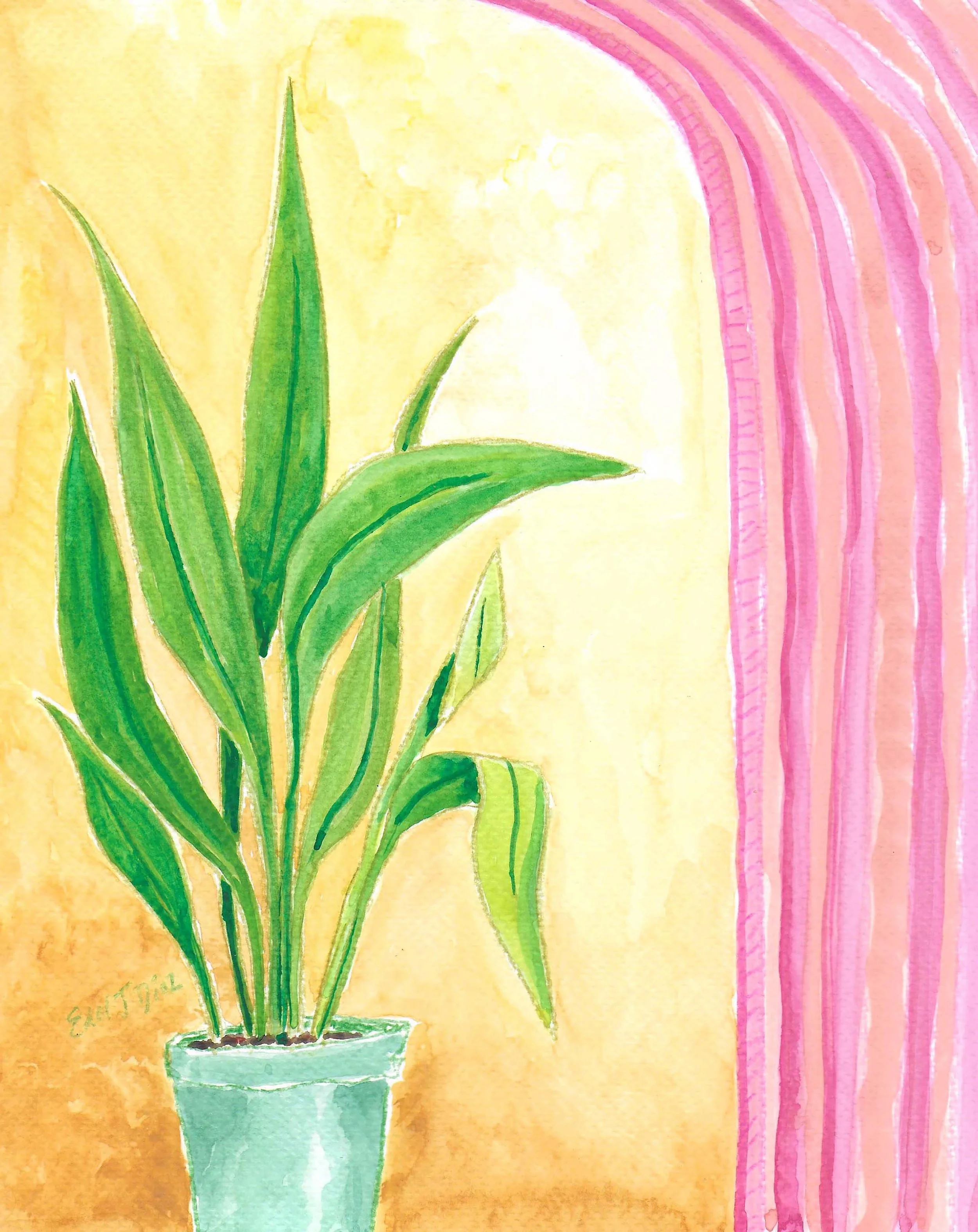 plant in pink archway.jpg