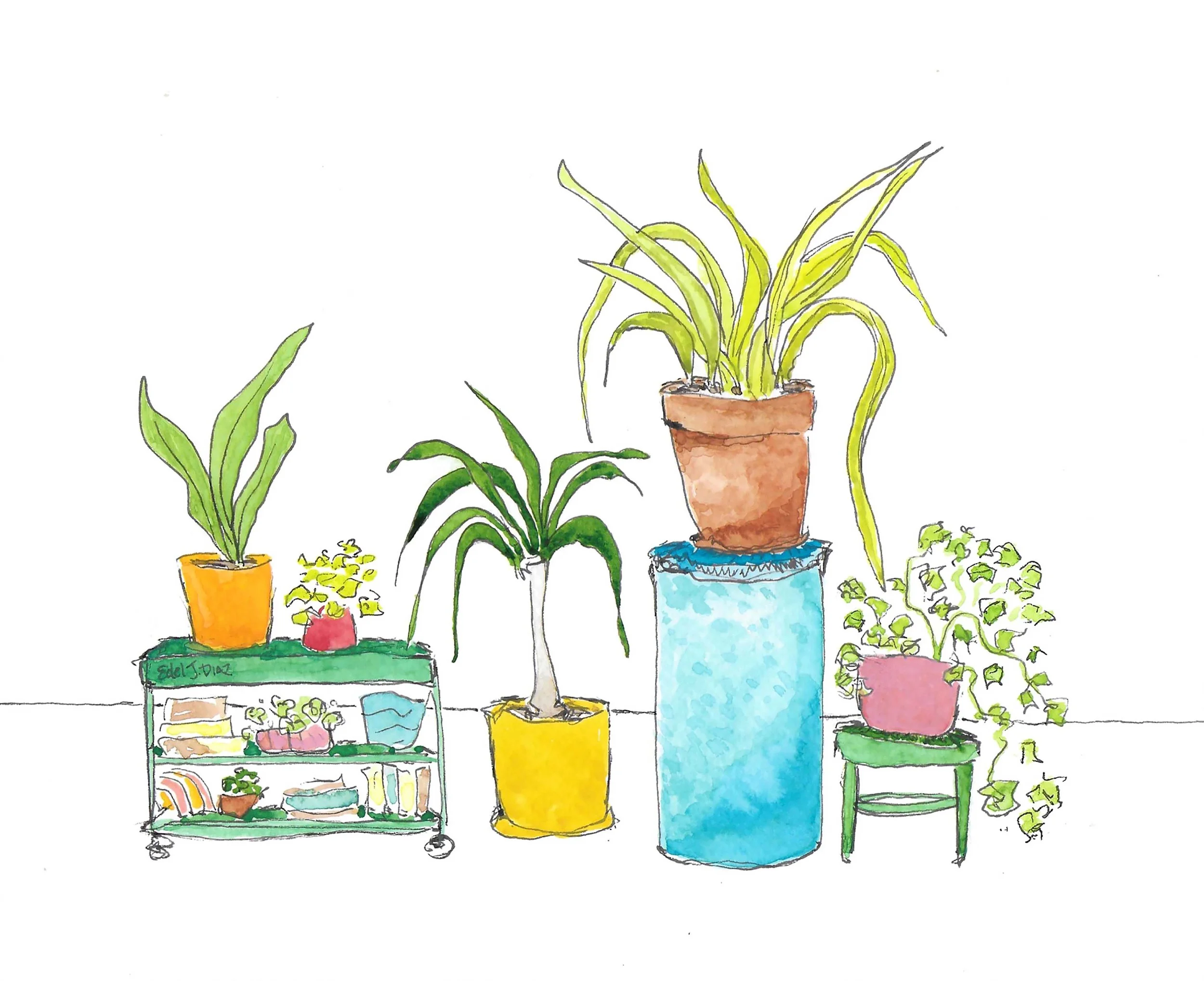 houseplant party - original.jpg