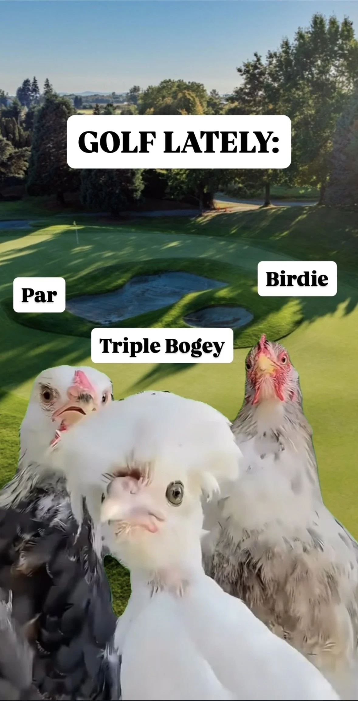 The Real Secret to Lower Scores