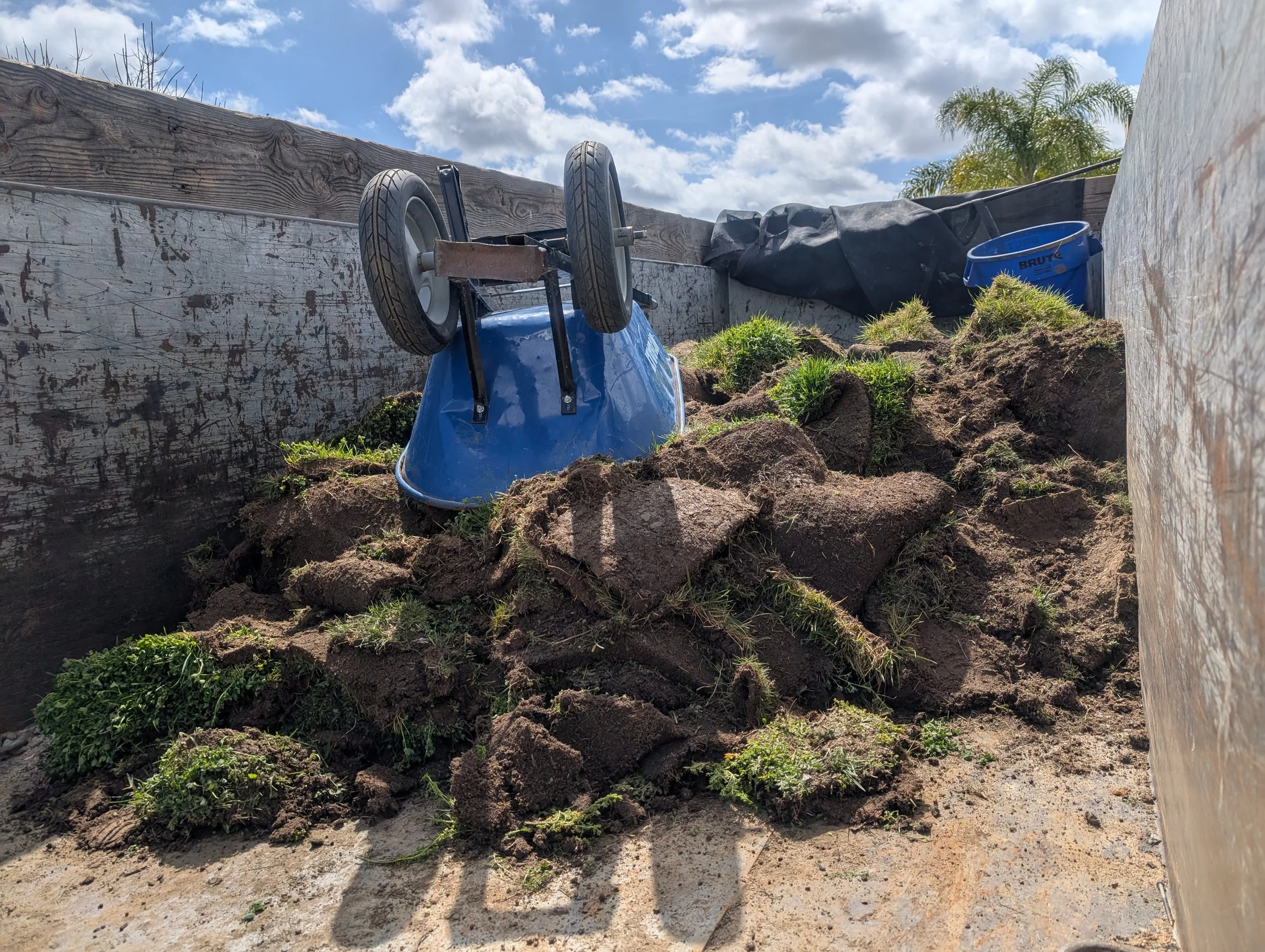 PXL_20250315_210155715 (1).jpg