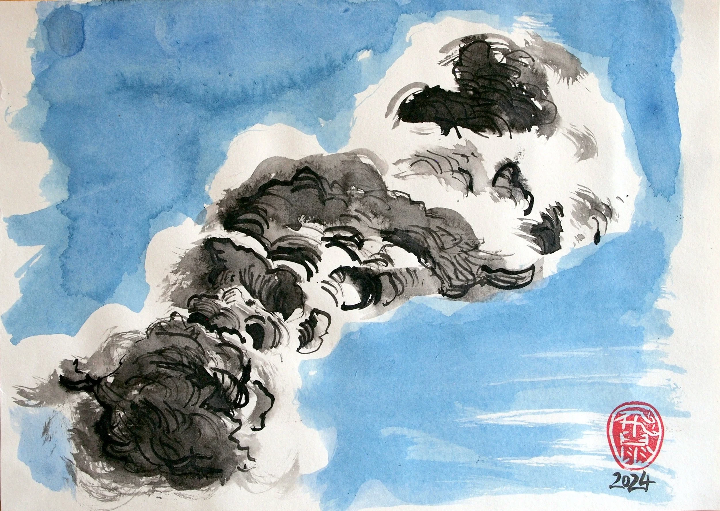Wolke.jpg