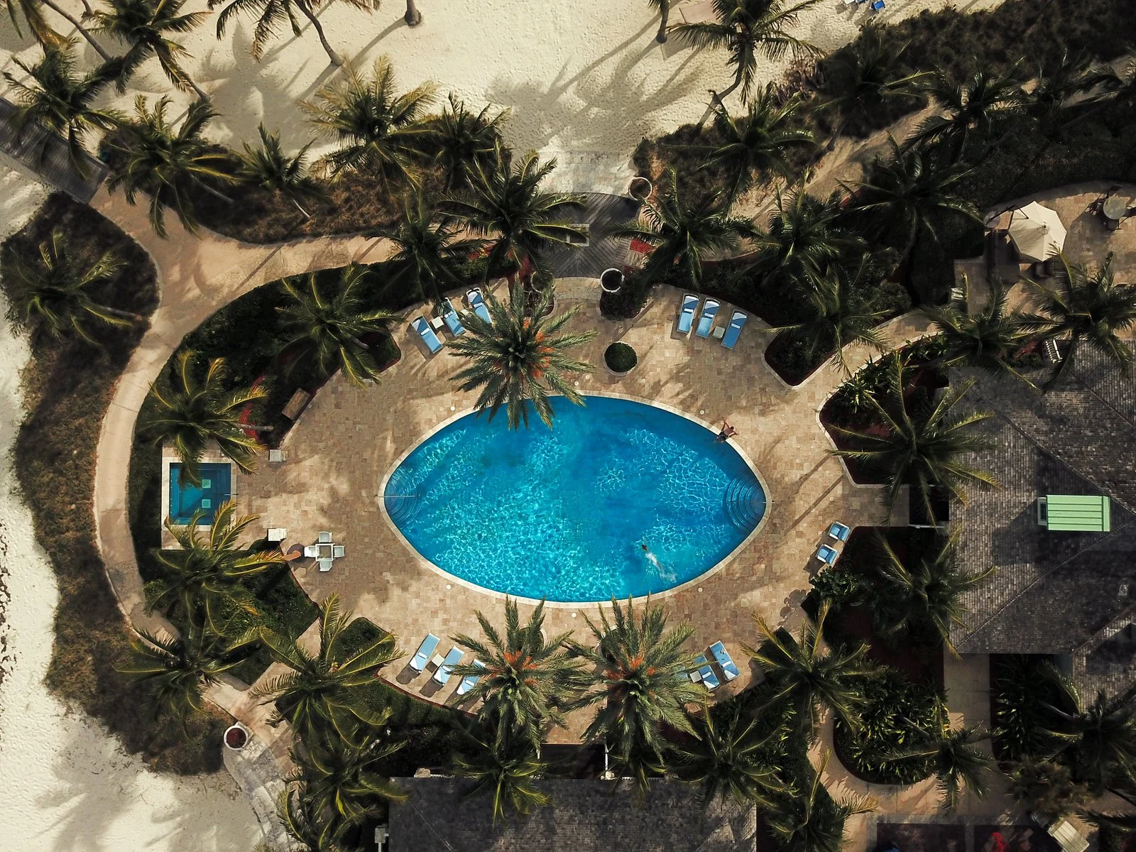 Aerial view of a luxury resort pool surrounded by palm trees, illustrating high-end hotel photography for successful hospitality marketing