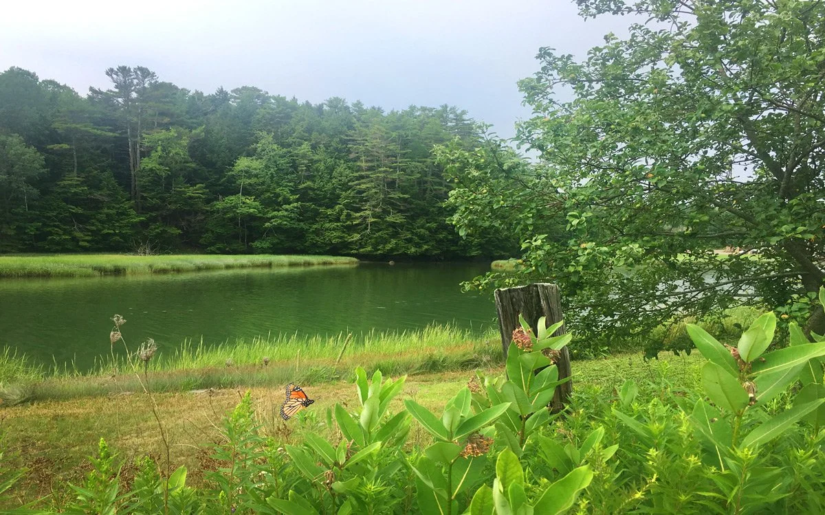 About — FreeportCAN