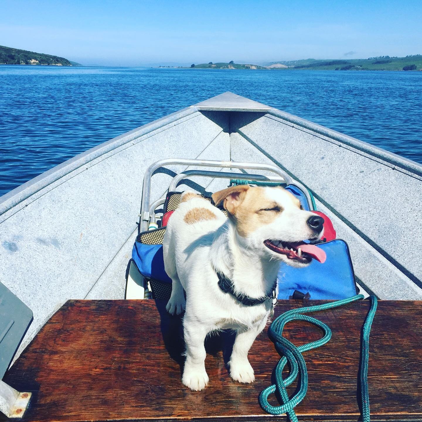 These late summer days are feeling pretty, pretty, good out here on Tomales Bay. Escape the heat and come see us! 😍🚣🏽&zwj;♂️🌊