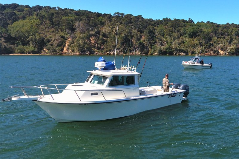 Activities — Nick's Cove Tomales Bay