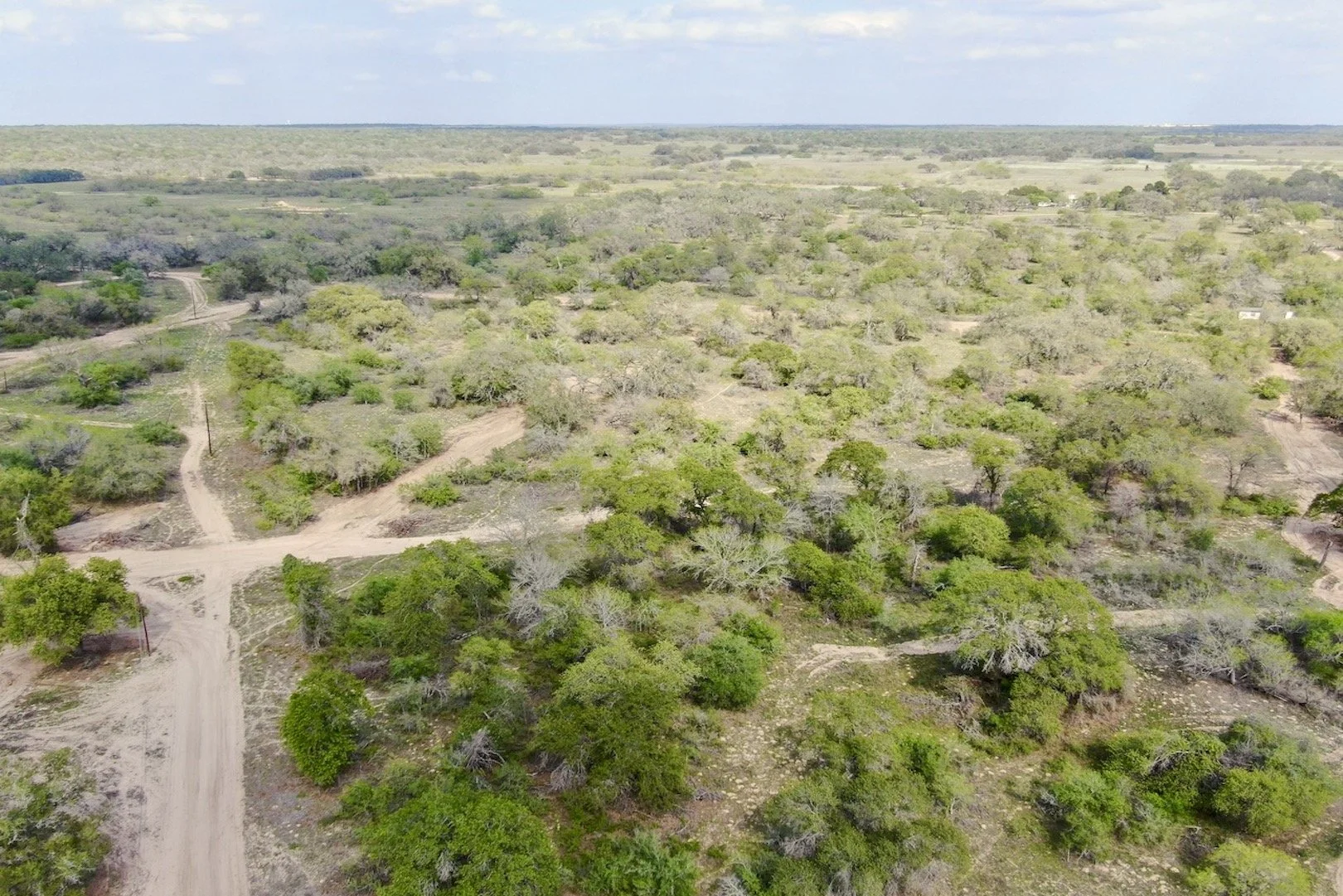 Farm & Ranch — Brush Country Real Estate