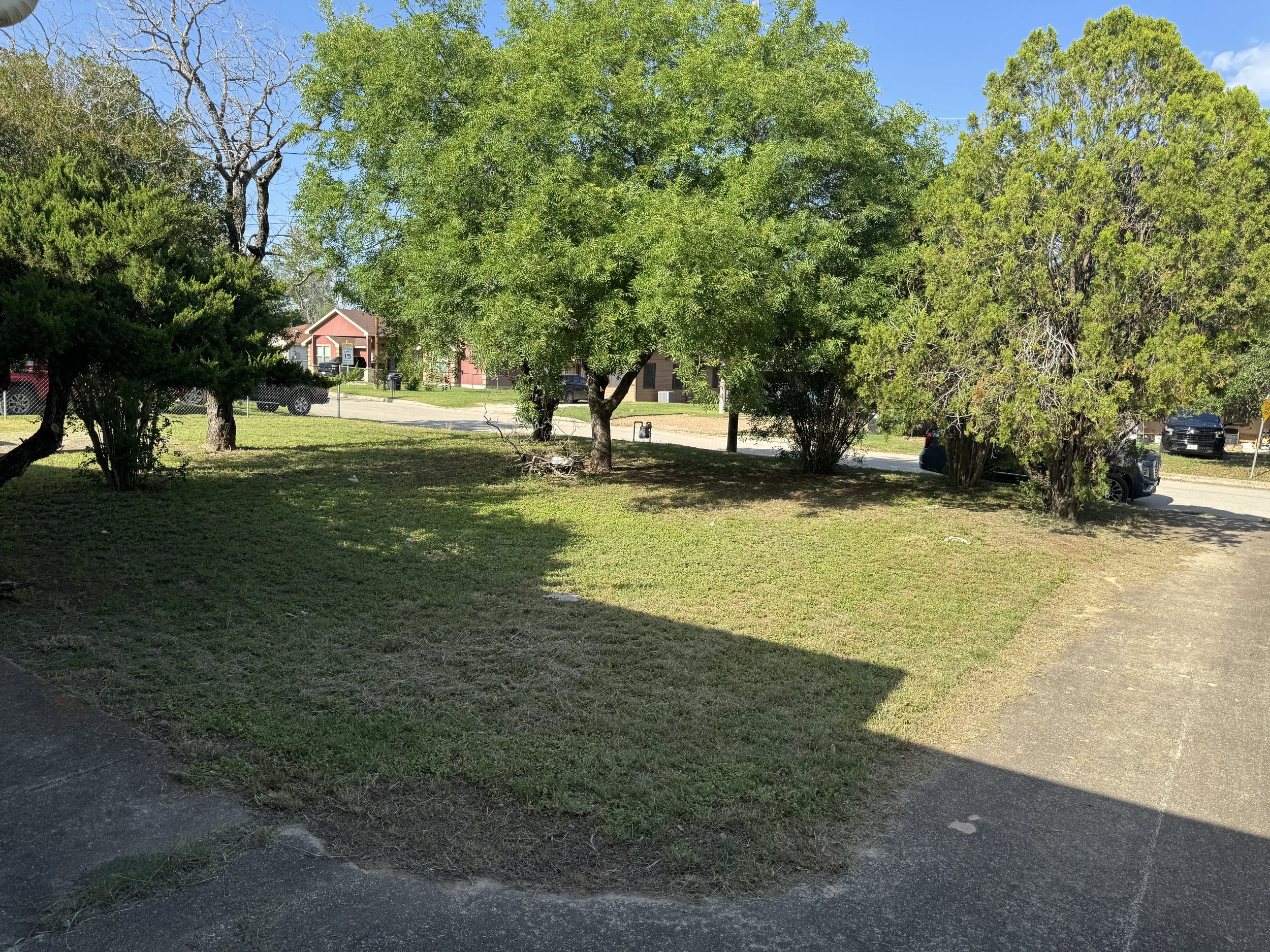 IMG_1001.jpeg