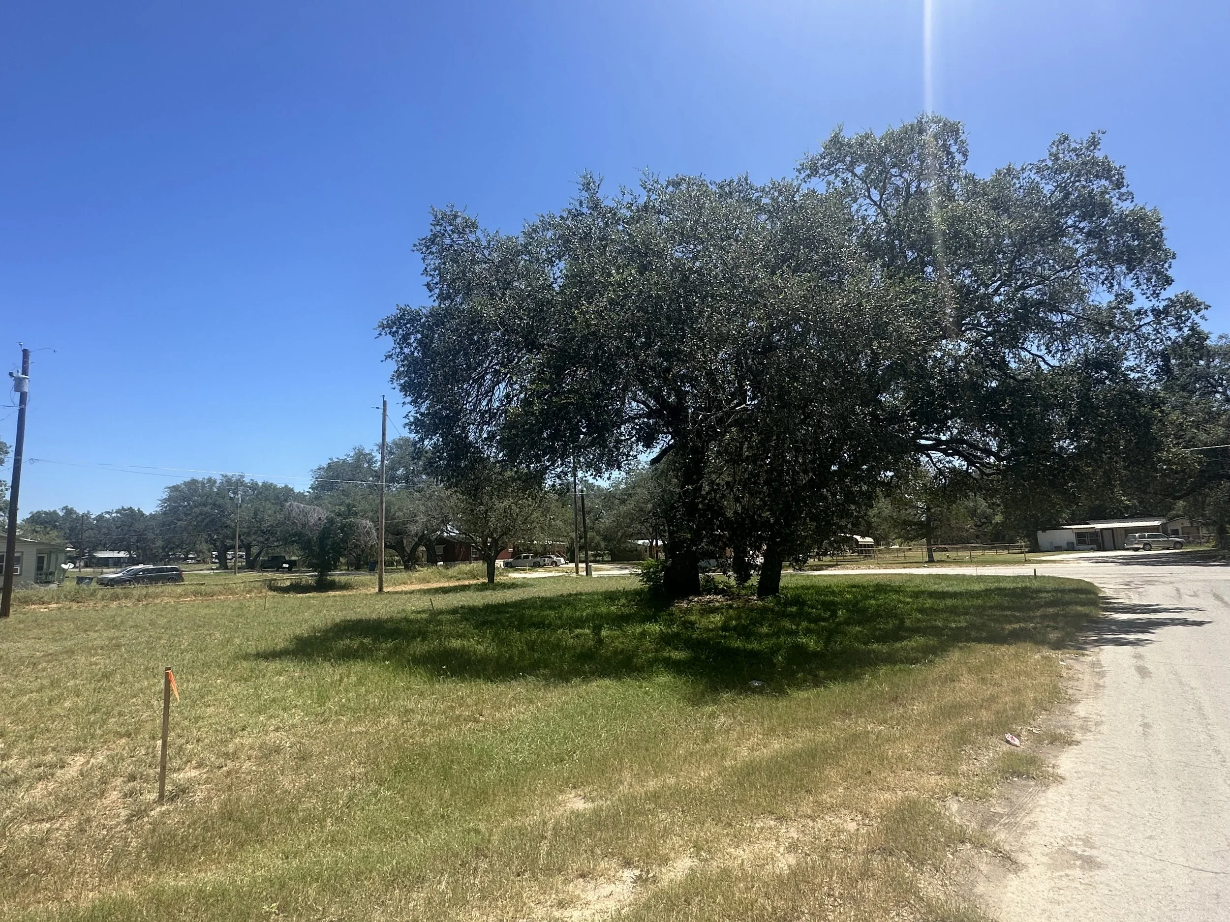 IMG_0997.jpeg