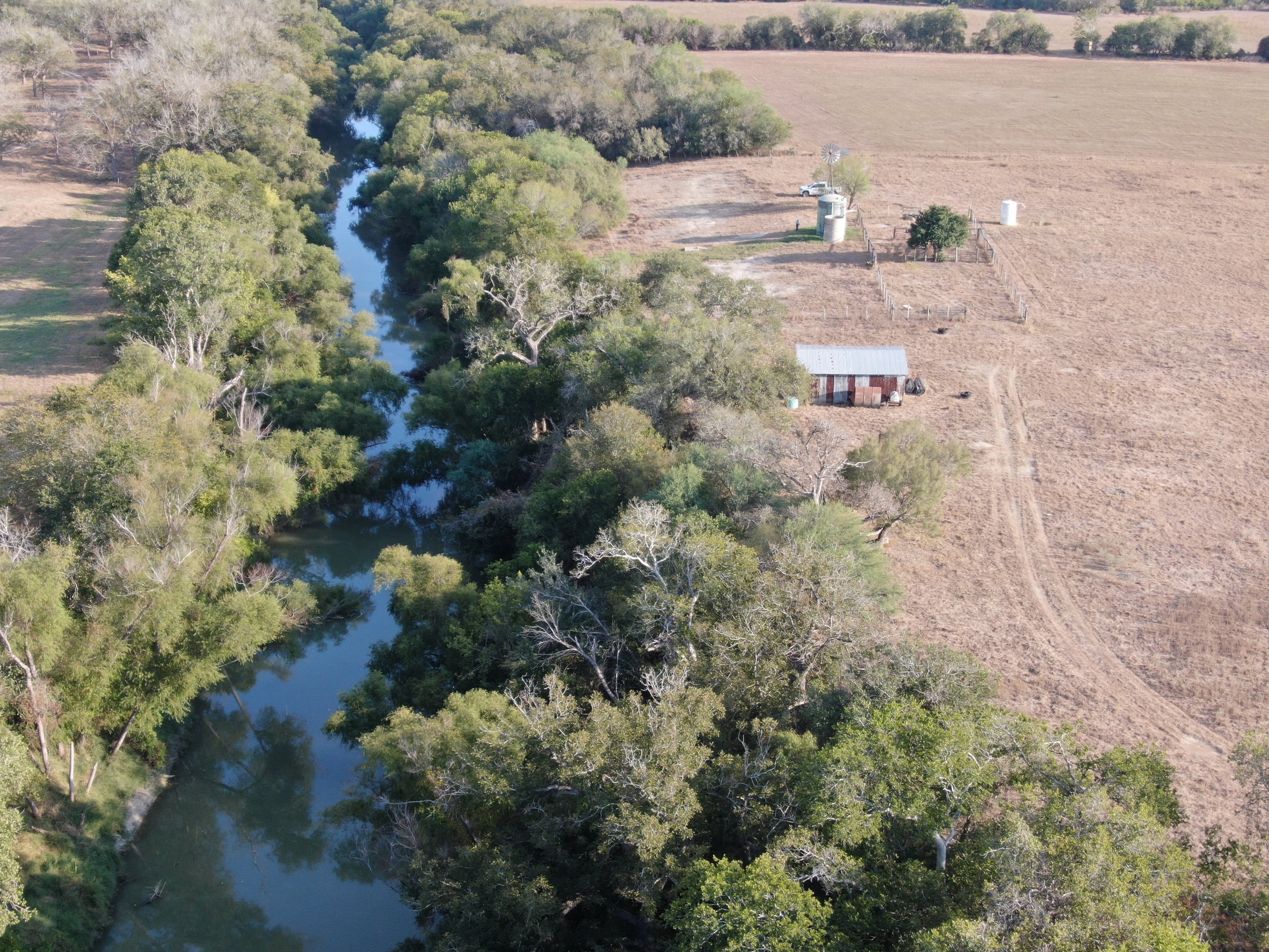 80 Acres - CR 212, Falls City, Tx 