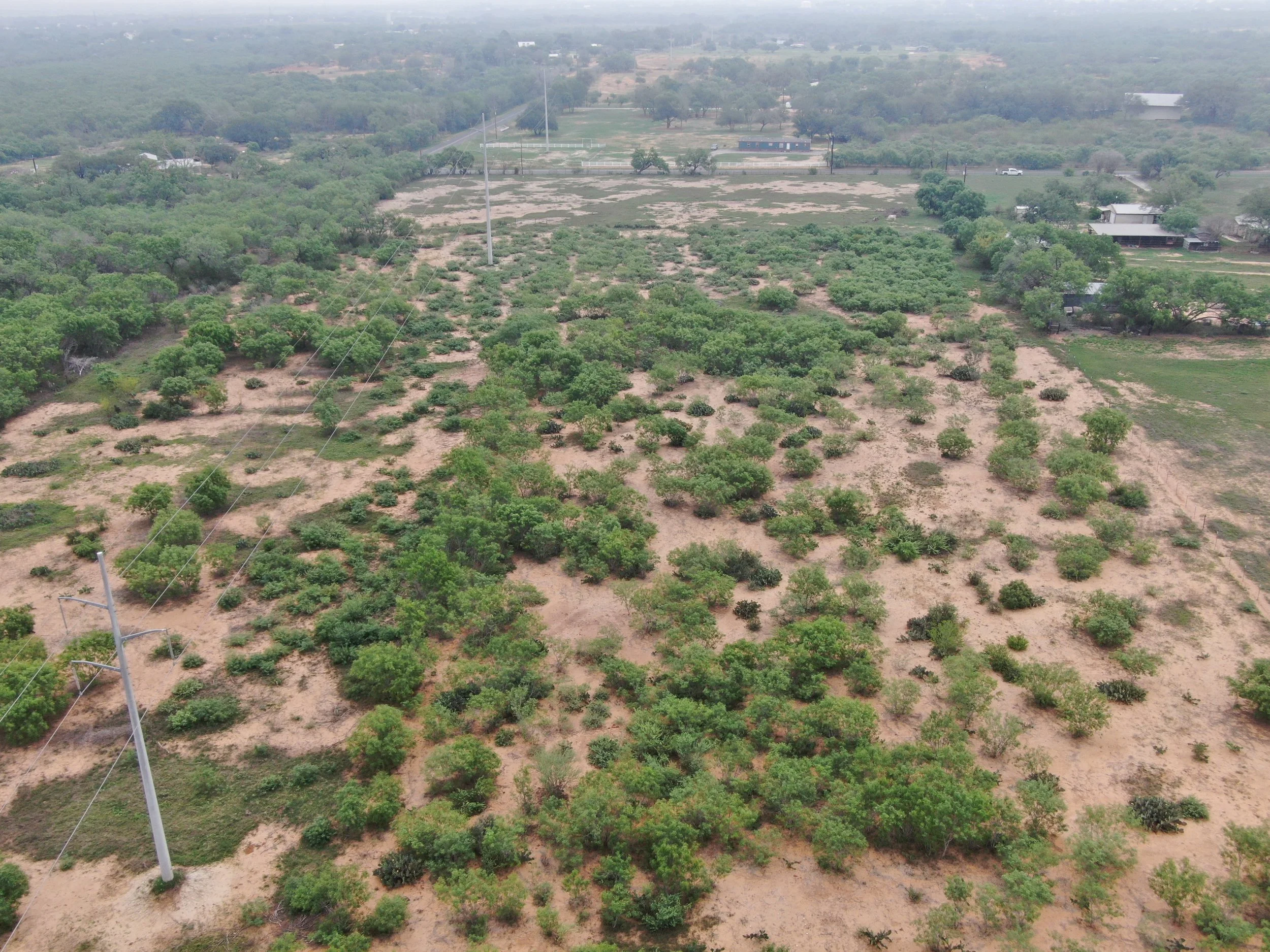 DJI_0625.jpeg