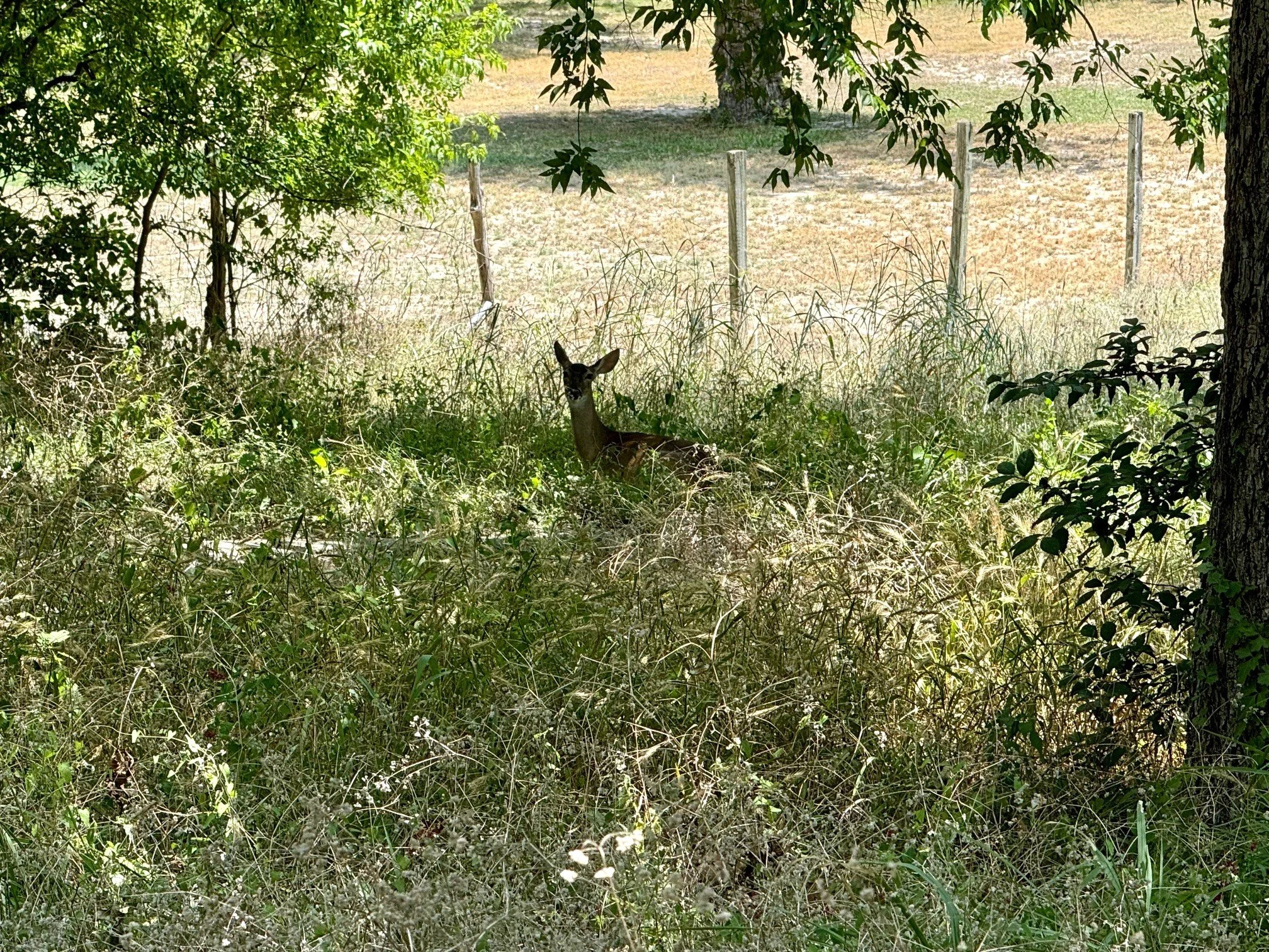 IMG_9188.jpeg