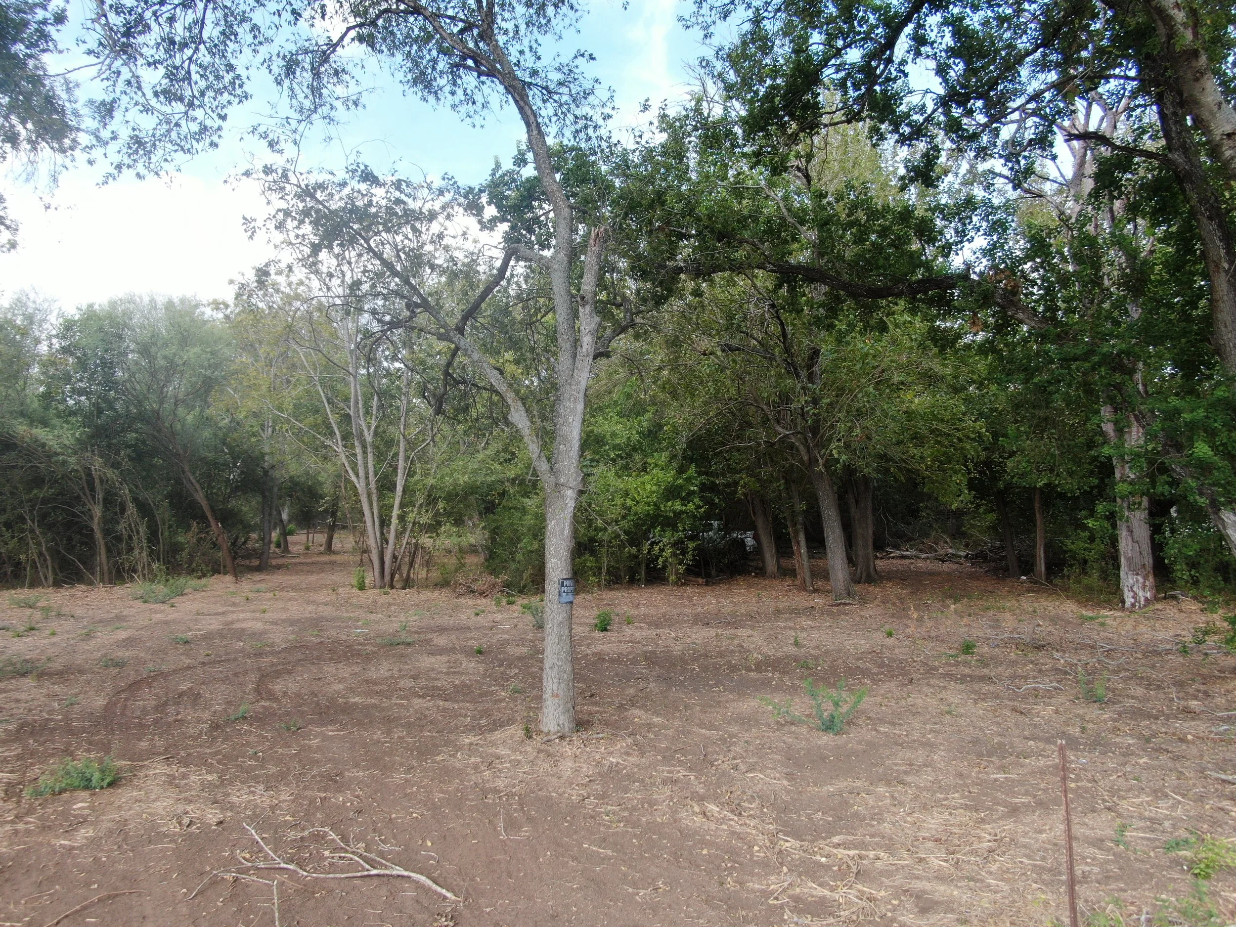 DJI_0682.jpeg