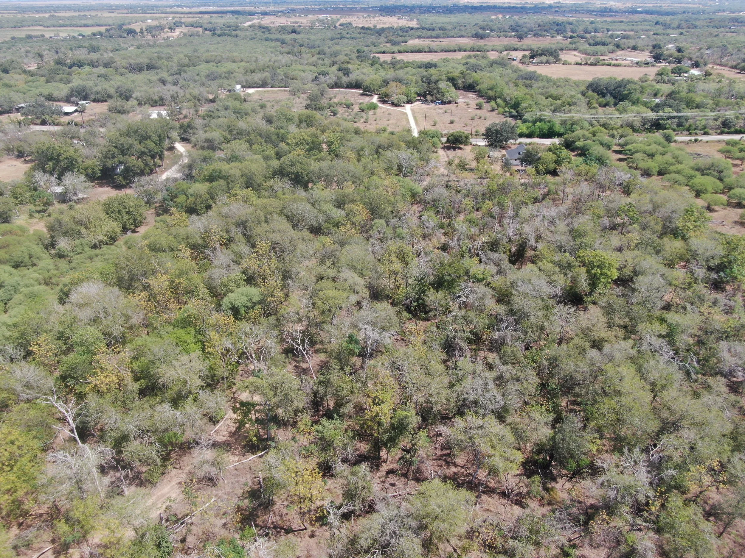 DJI_0699.jpeg