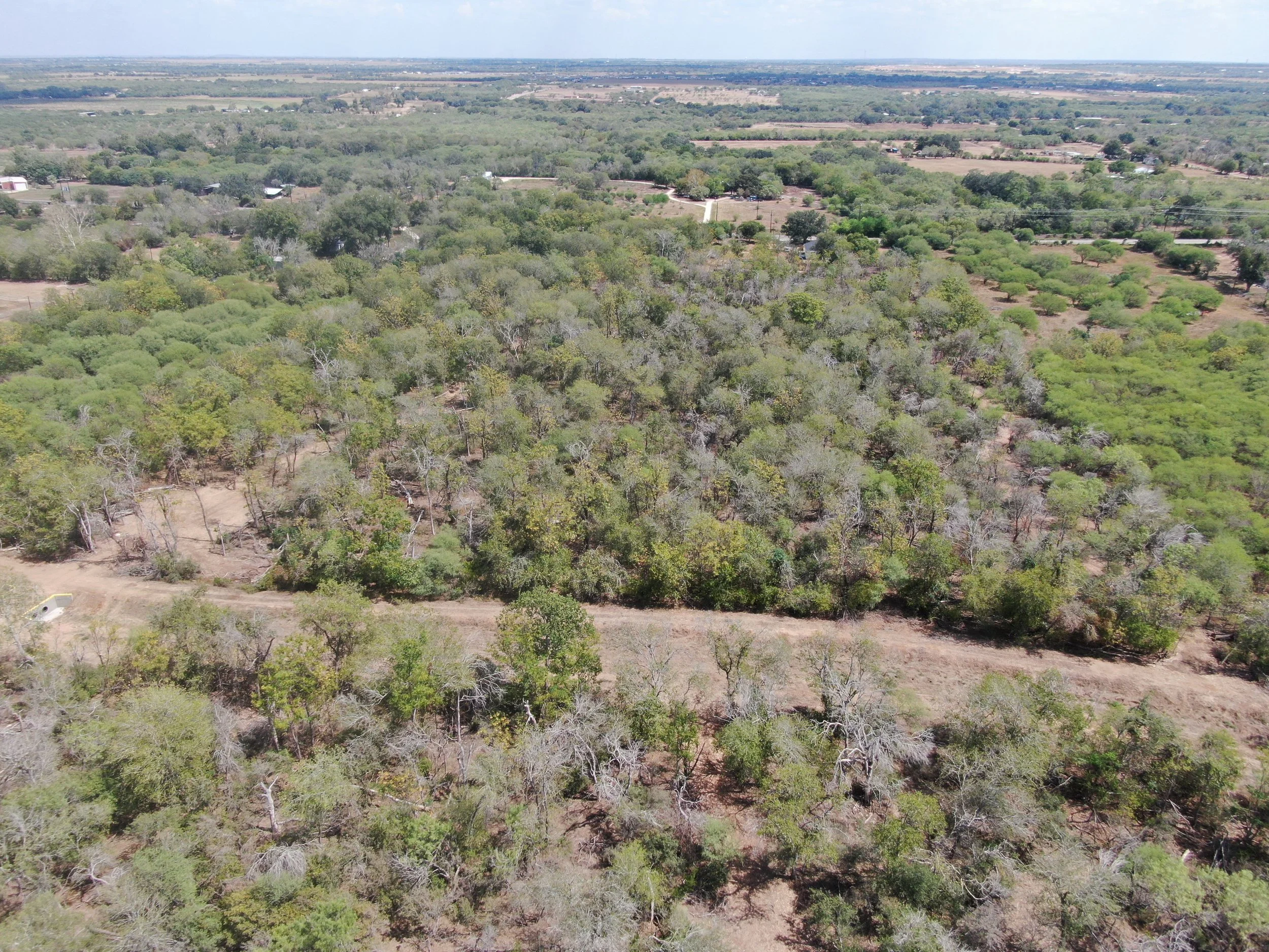 DJI_0698.jpeg