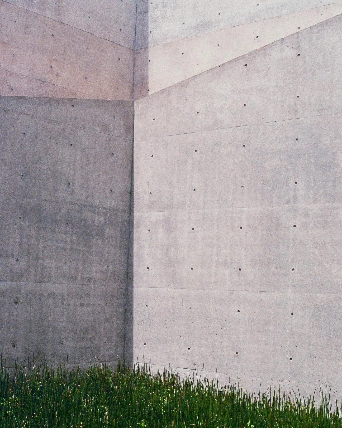 1FC5FB3F-7369-41AA-BBF7-8EEDA65432BA.jpg