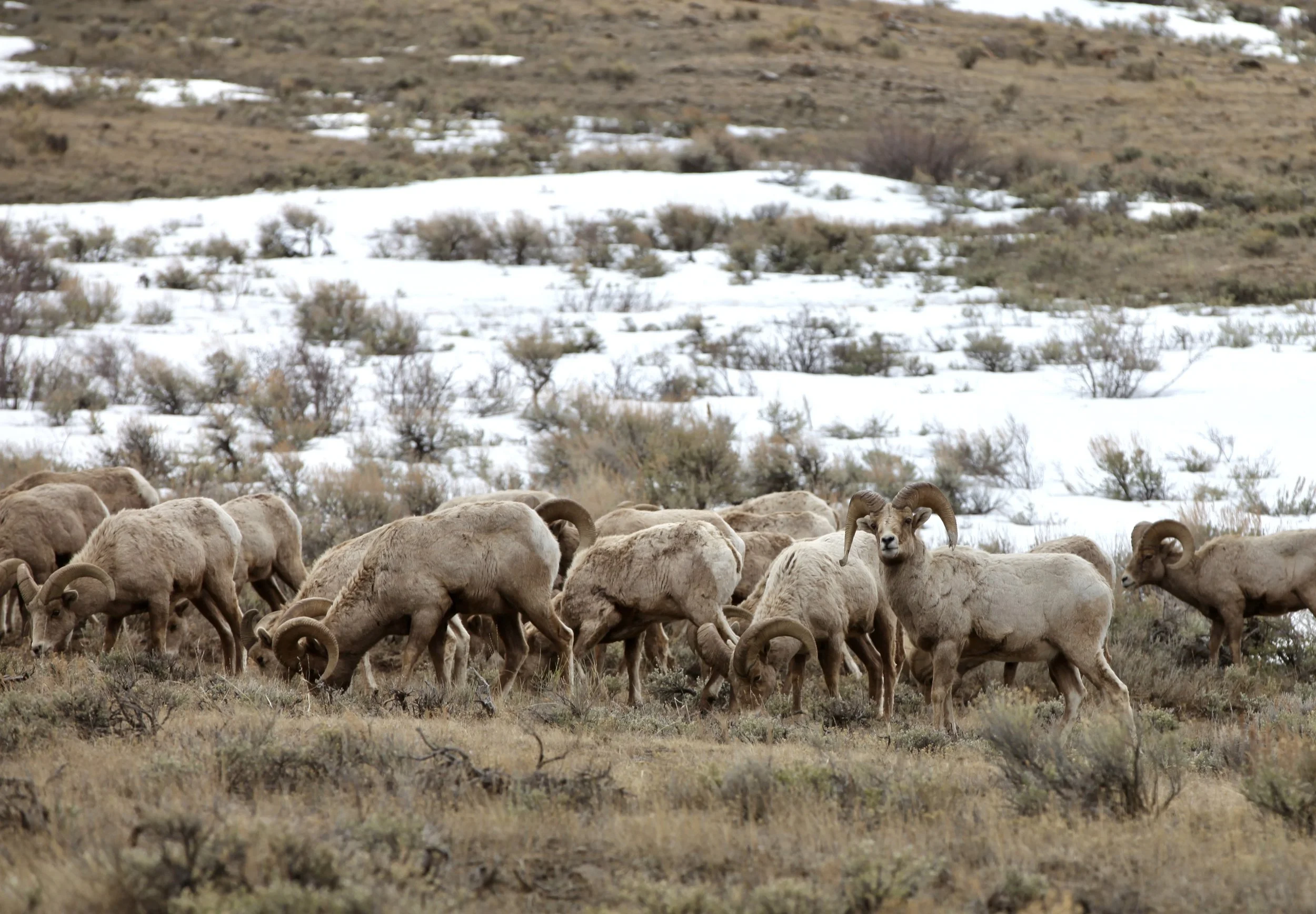 IMG_9170.JPG