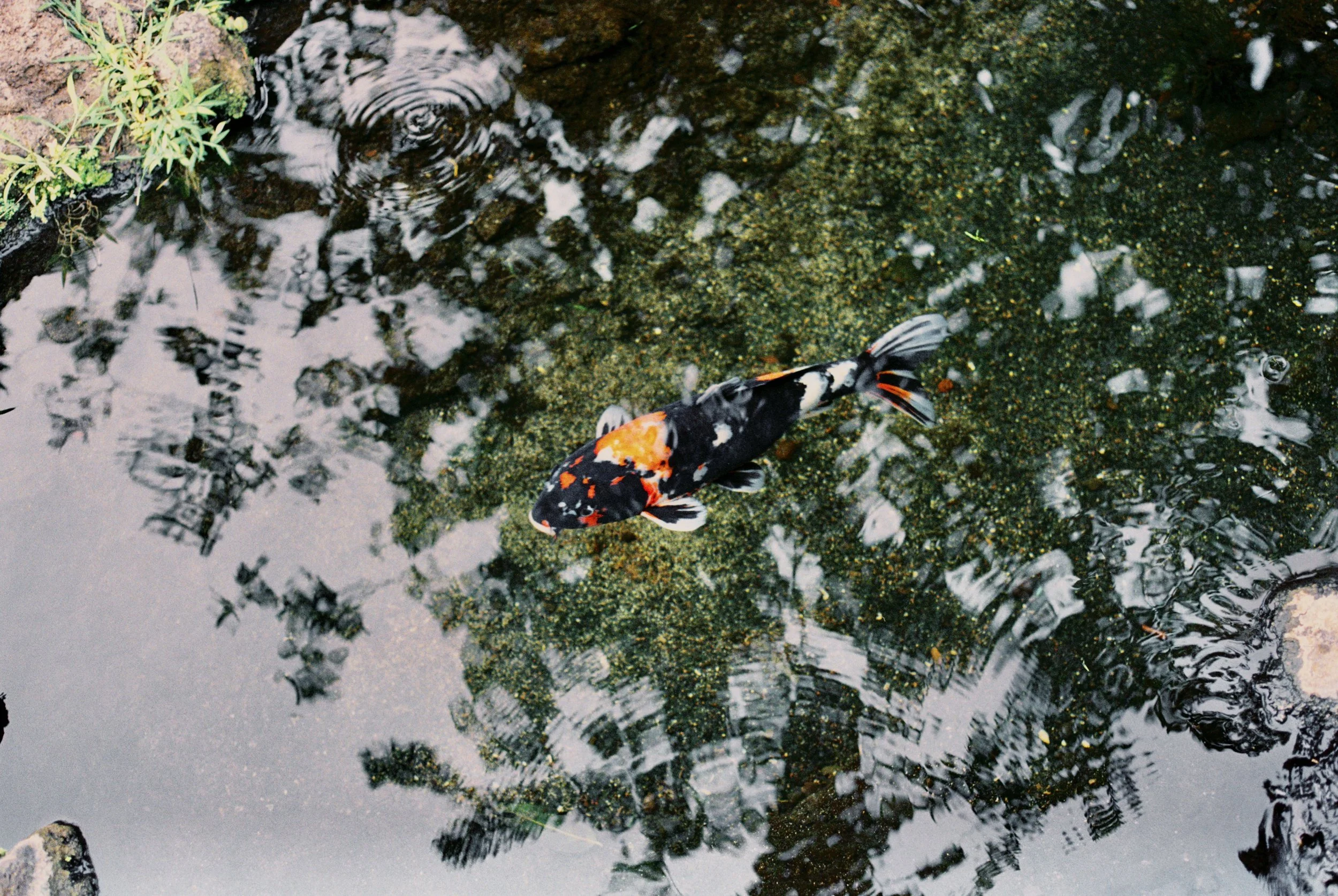 IMG3950-R01-011.jpeg
