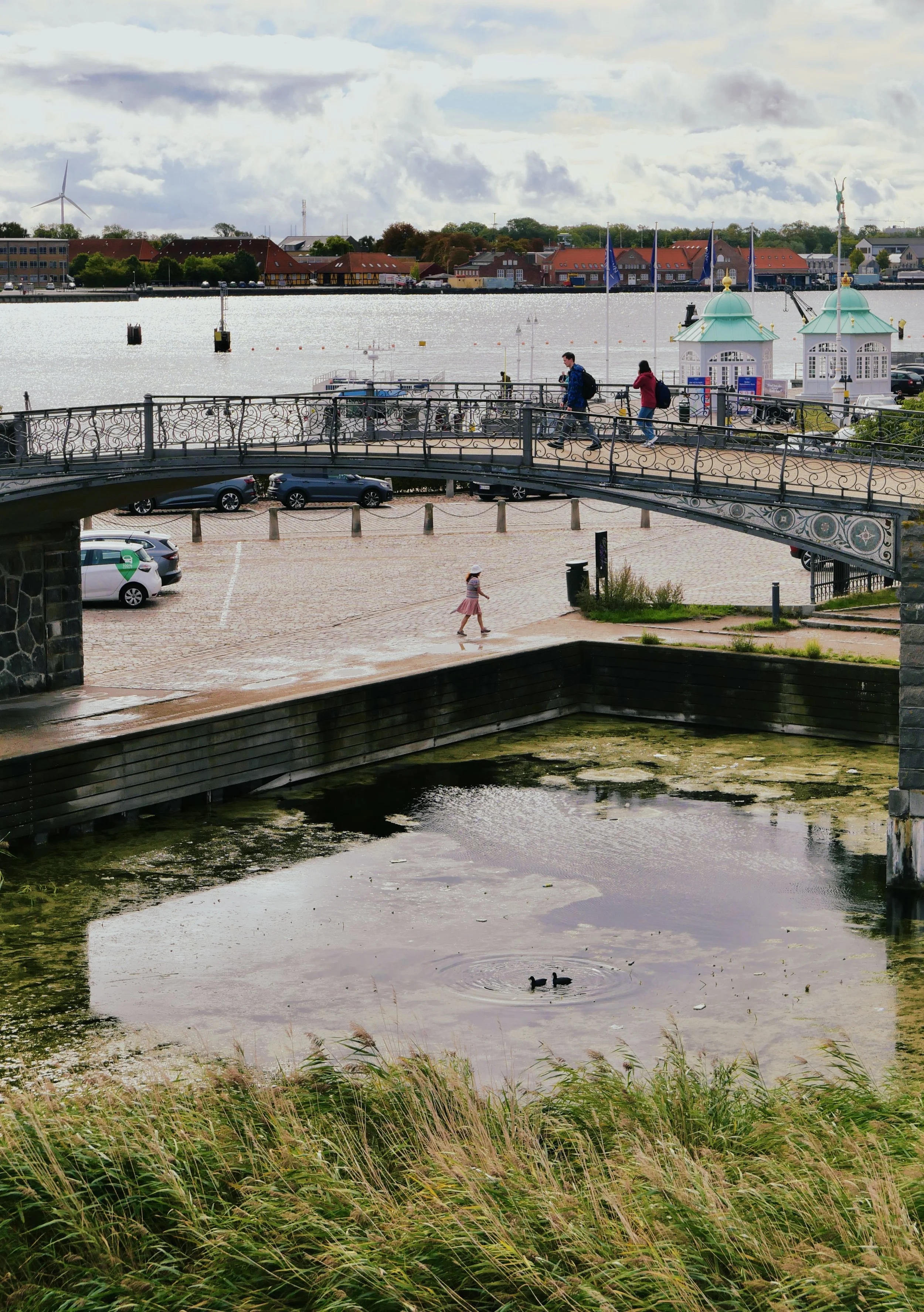 L1003768.JPG