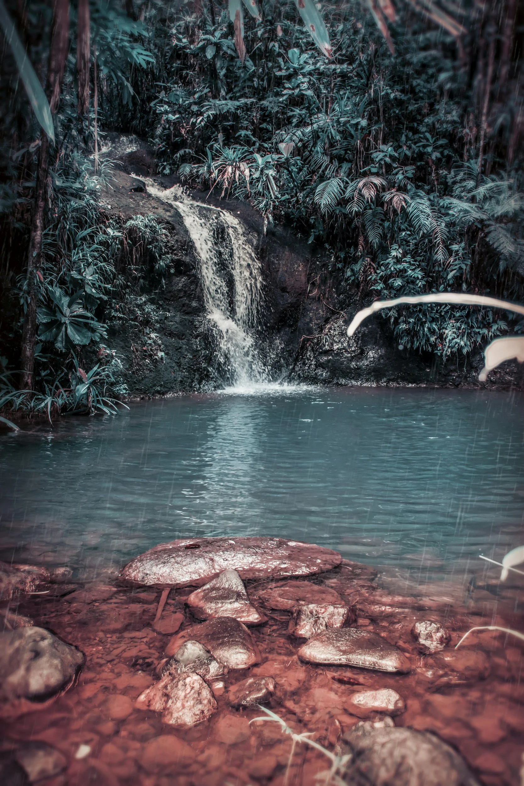 Calming stream in nature symbolizing emotional flow, grounding, and support during grief.