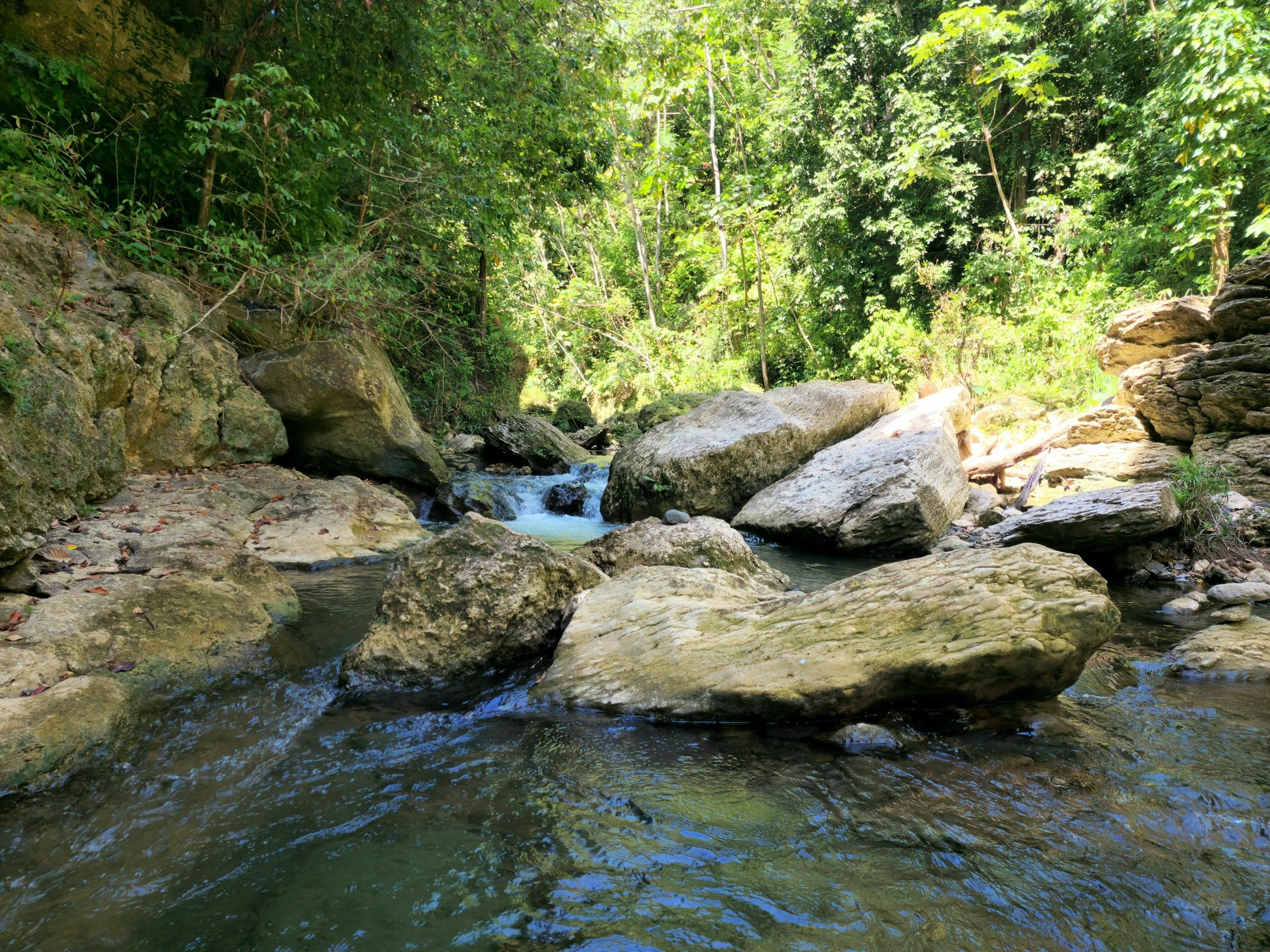 Calming stream in nature symbolizing emotional flow, grounding, and support during grief.