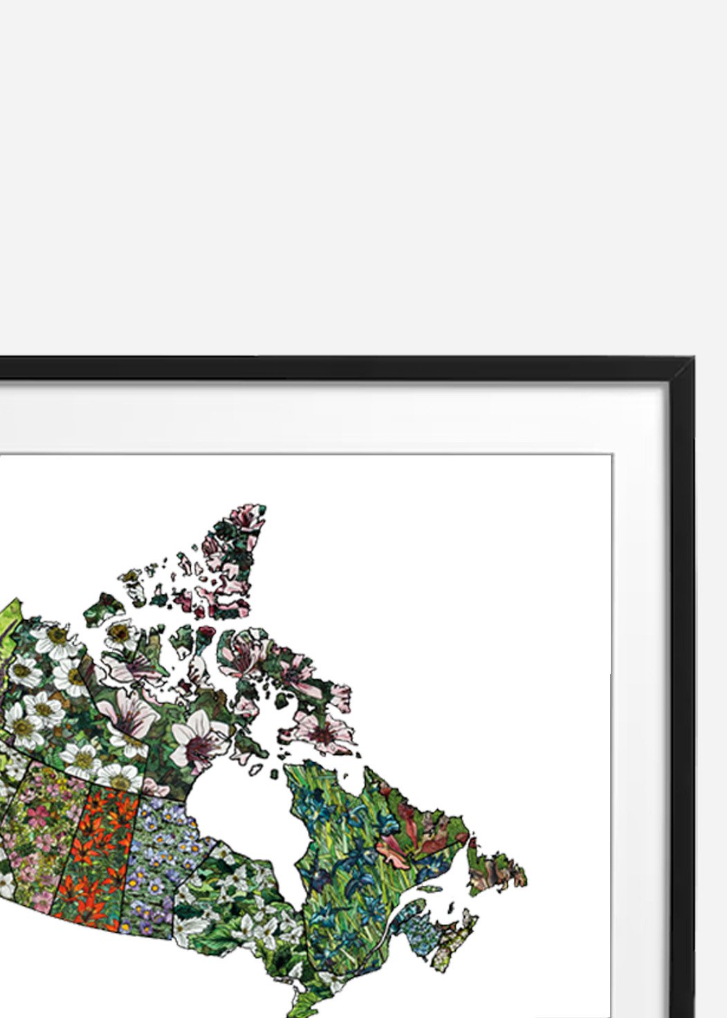 web-artprint-allcan01.jpg