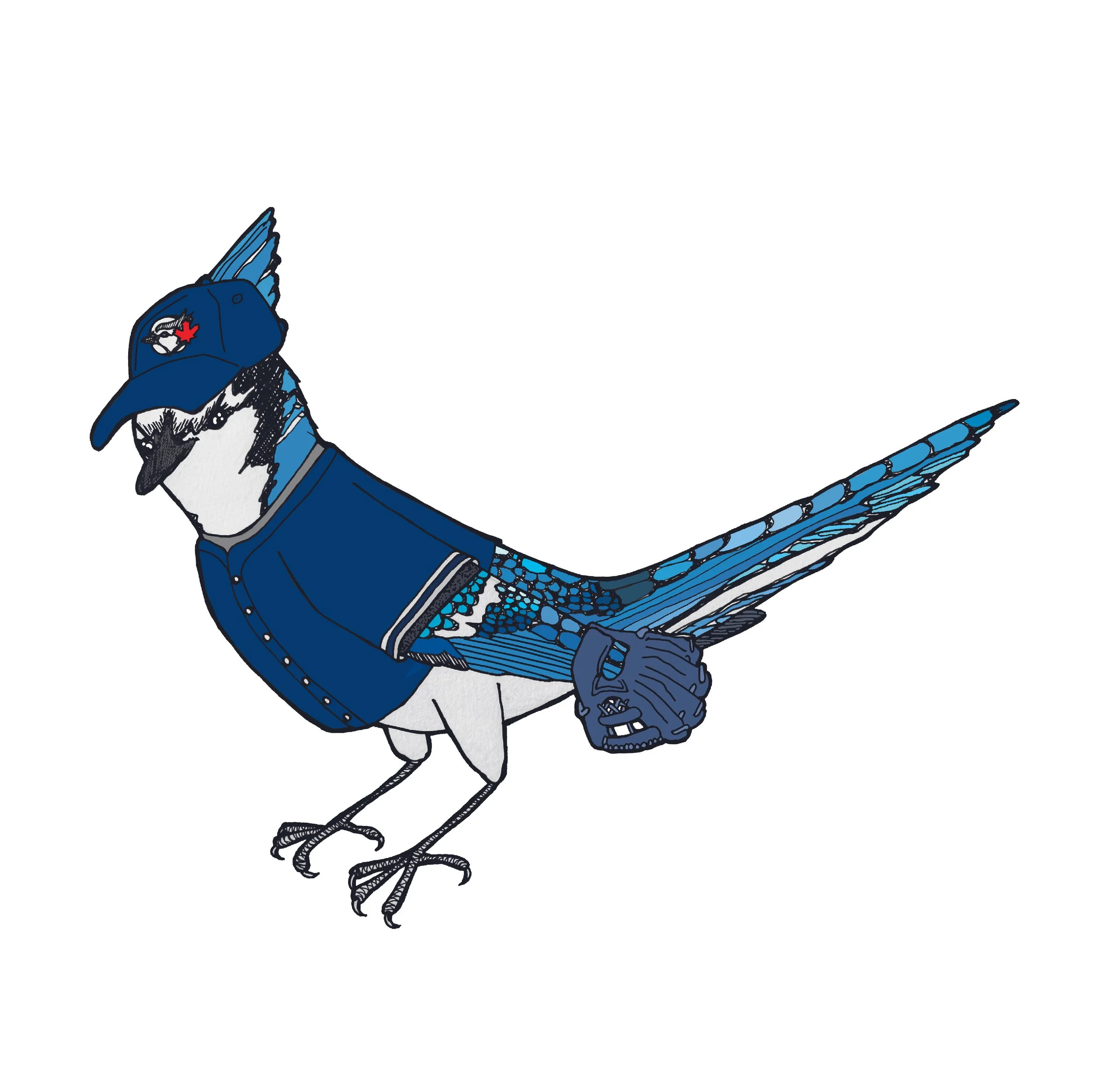 Bluejay Post Colour-04.jpg