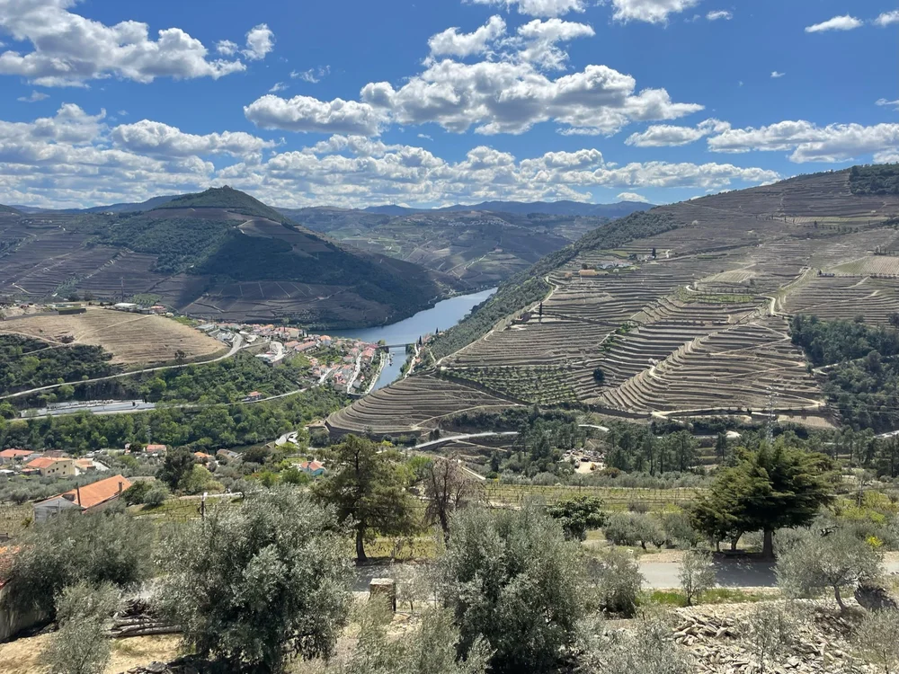 Duoro View.jpeg