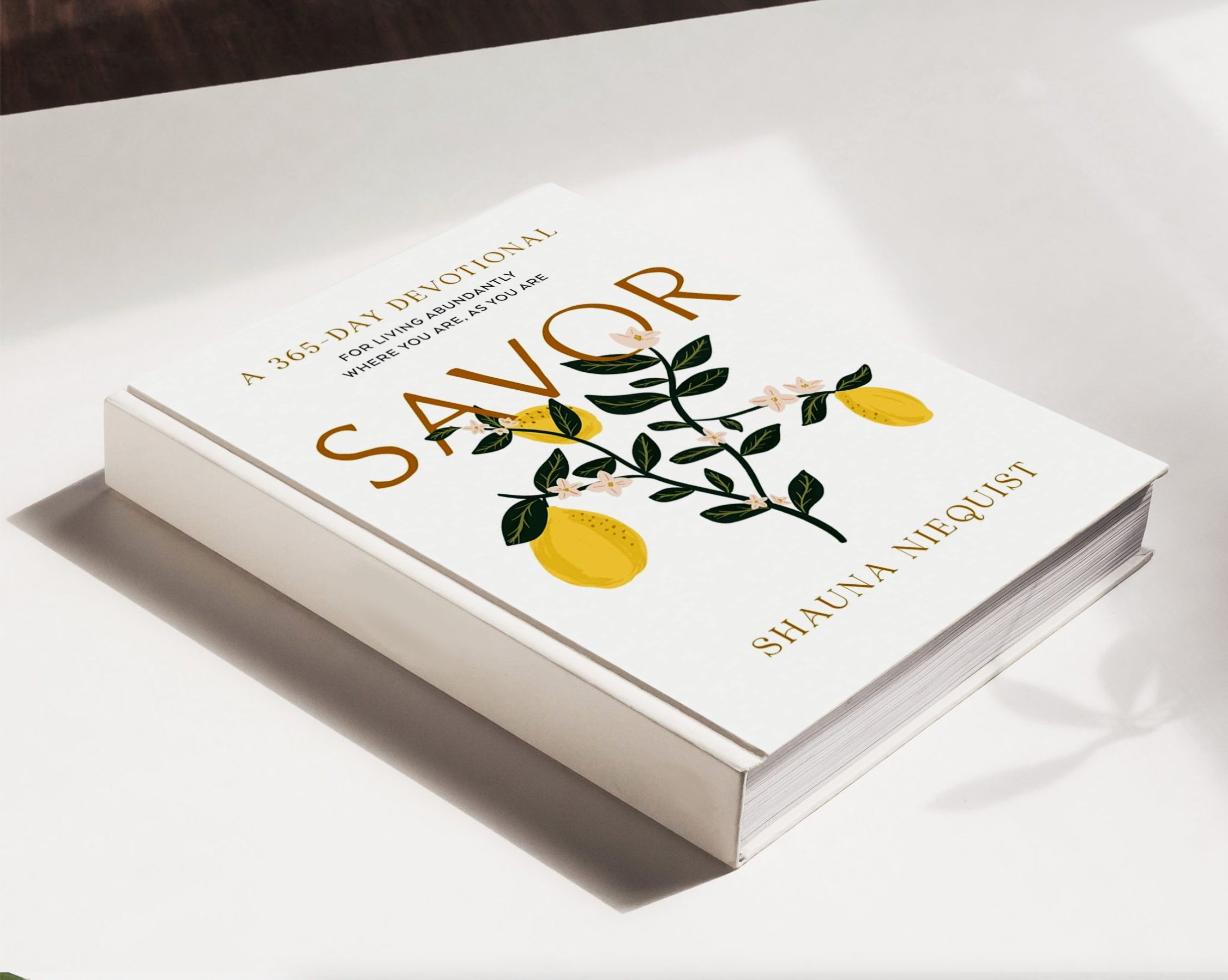 Cover Illustration // Savor Devotions by Shauna Niequest