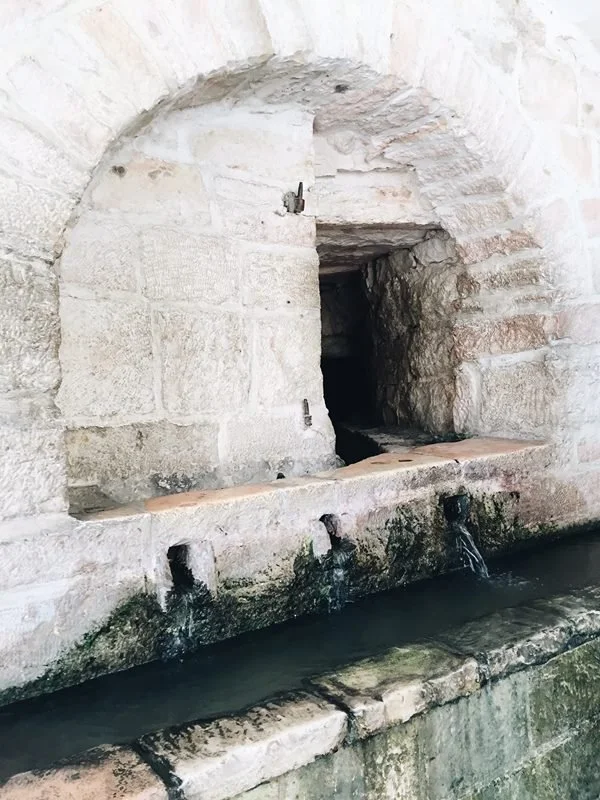 Too Old or Too Young? Day 4 (9/2015)